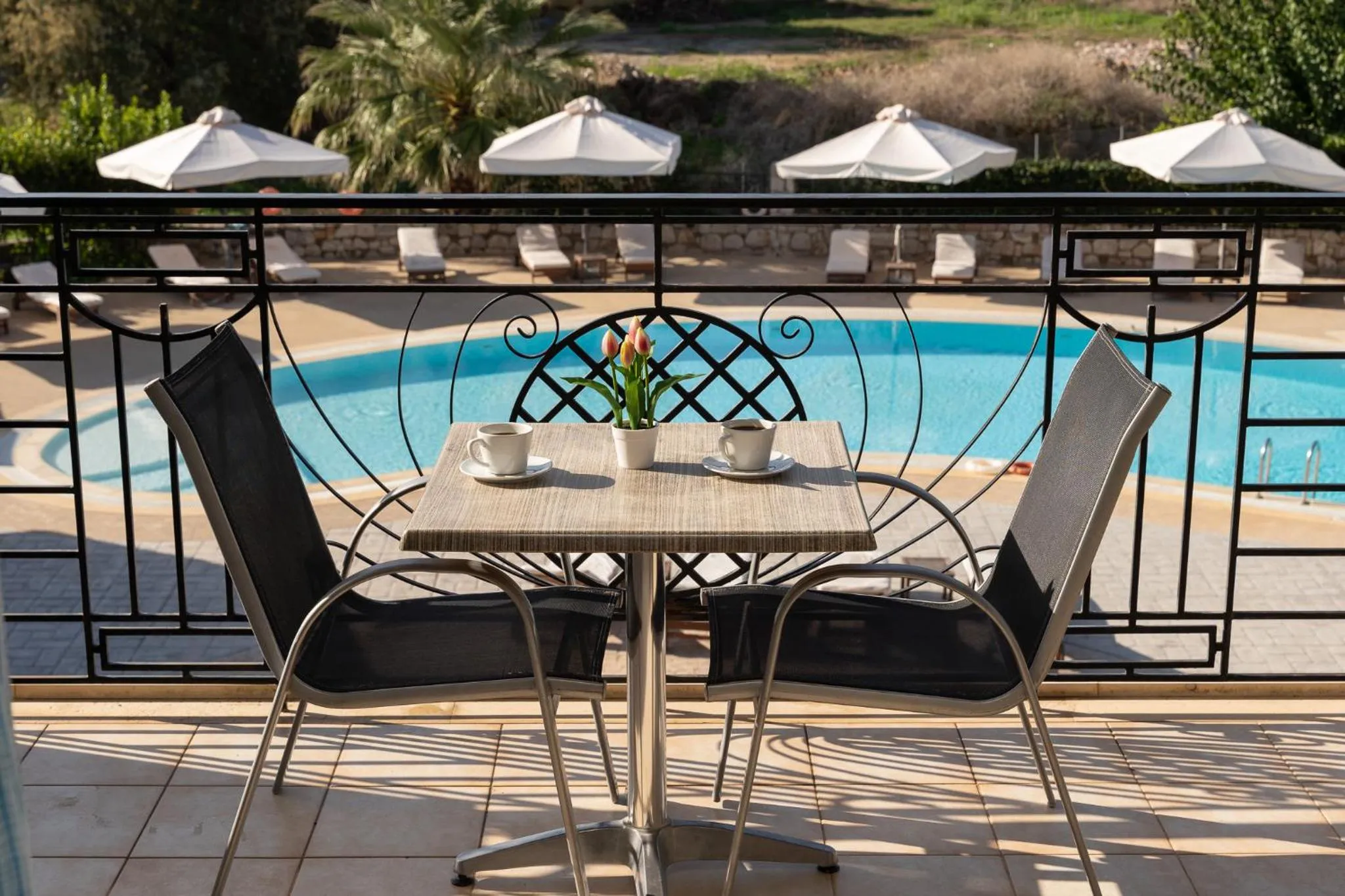 Balcony/Terrace in Tsokas Hotel