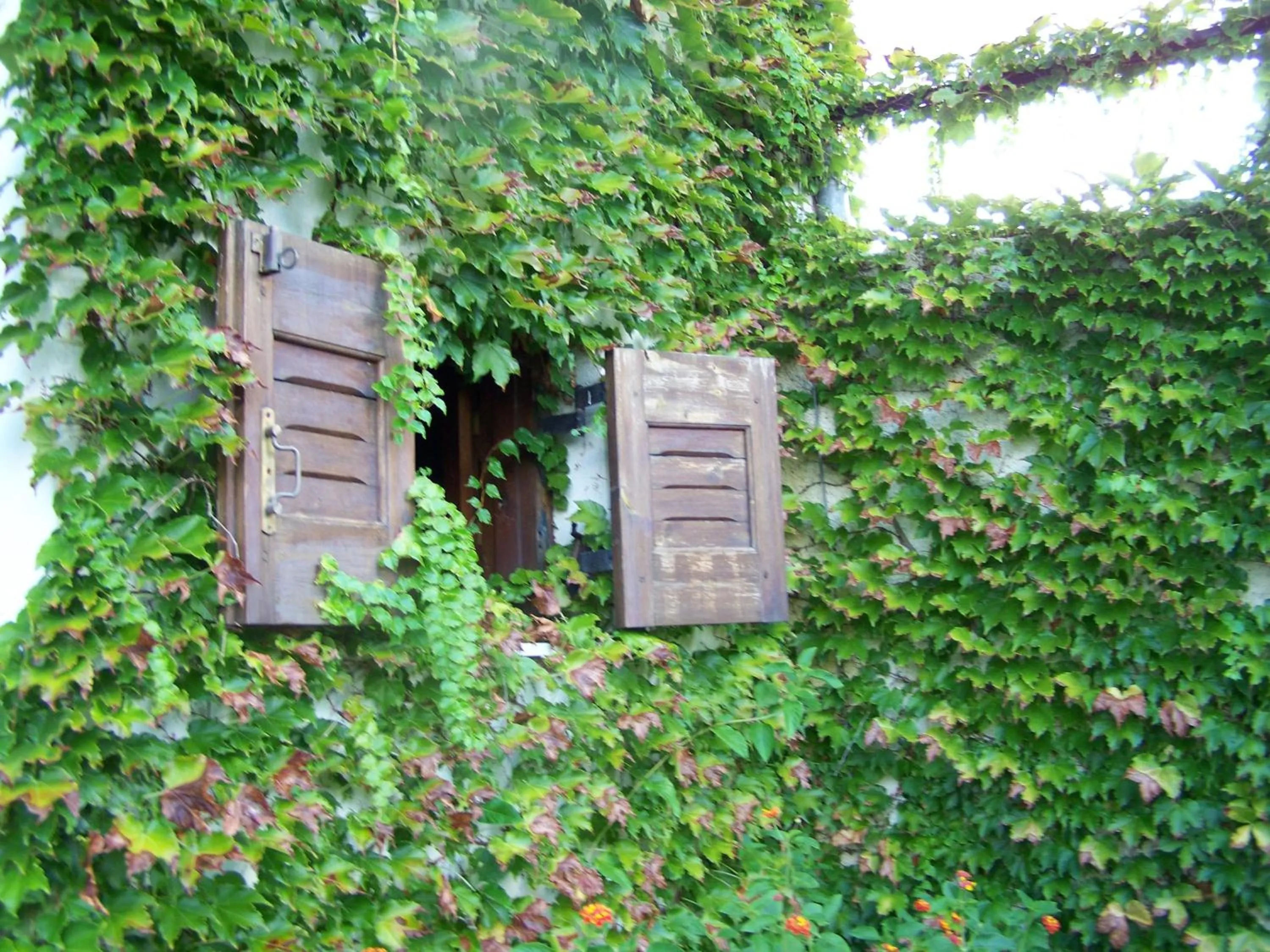 Other in Villa Anna Maria