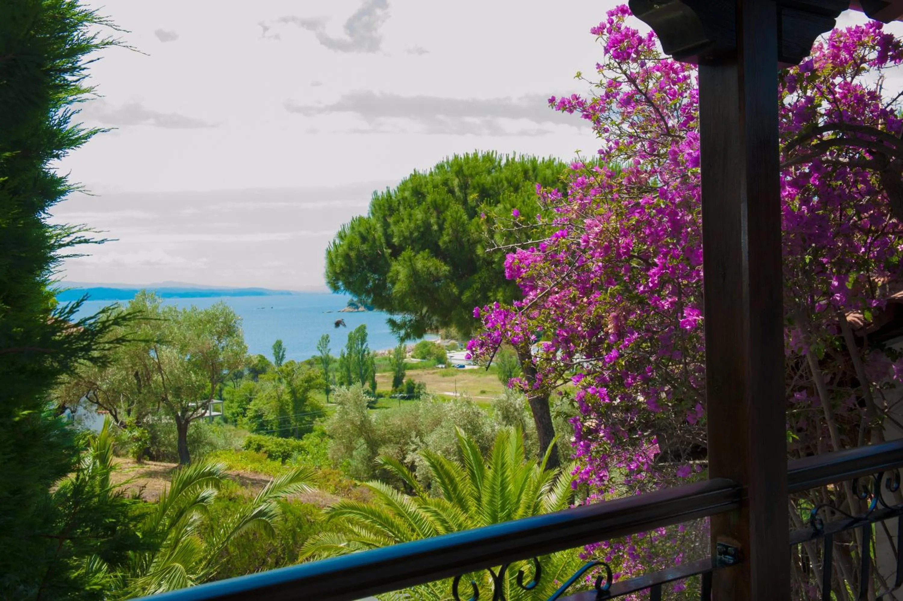 Day in Villa Anna Maria