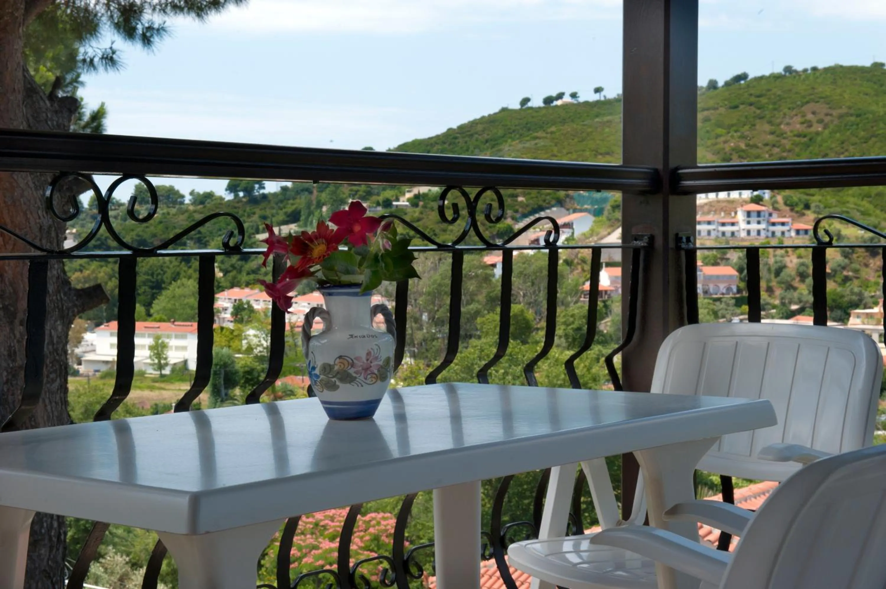 Day in Villa Anna Maria