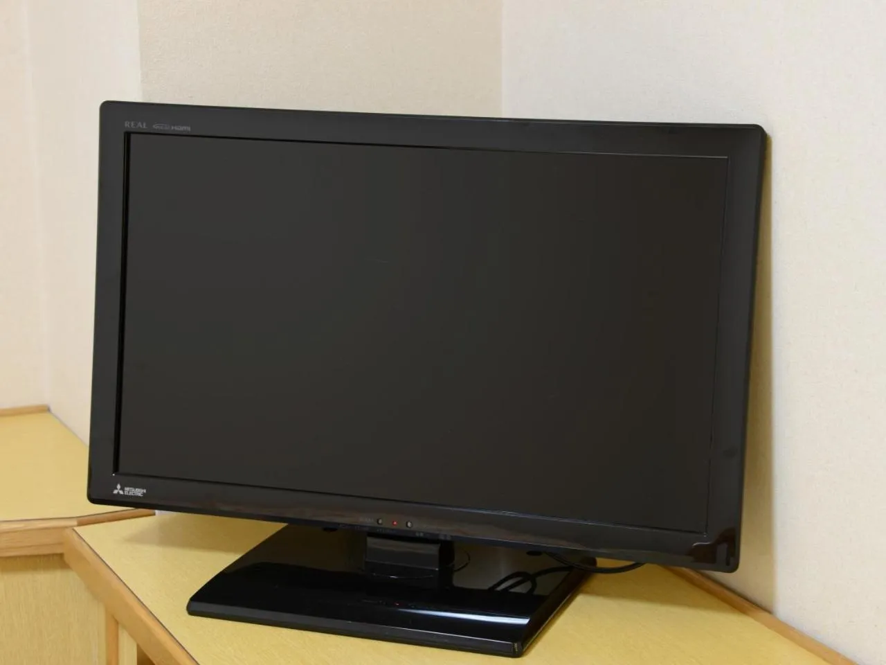 Photo of the whole room in Nagoya Sakae Green Hotel