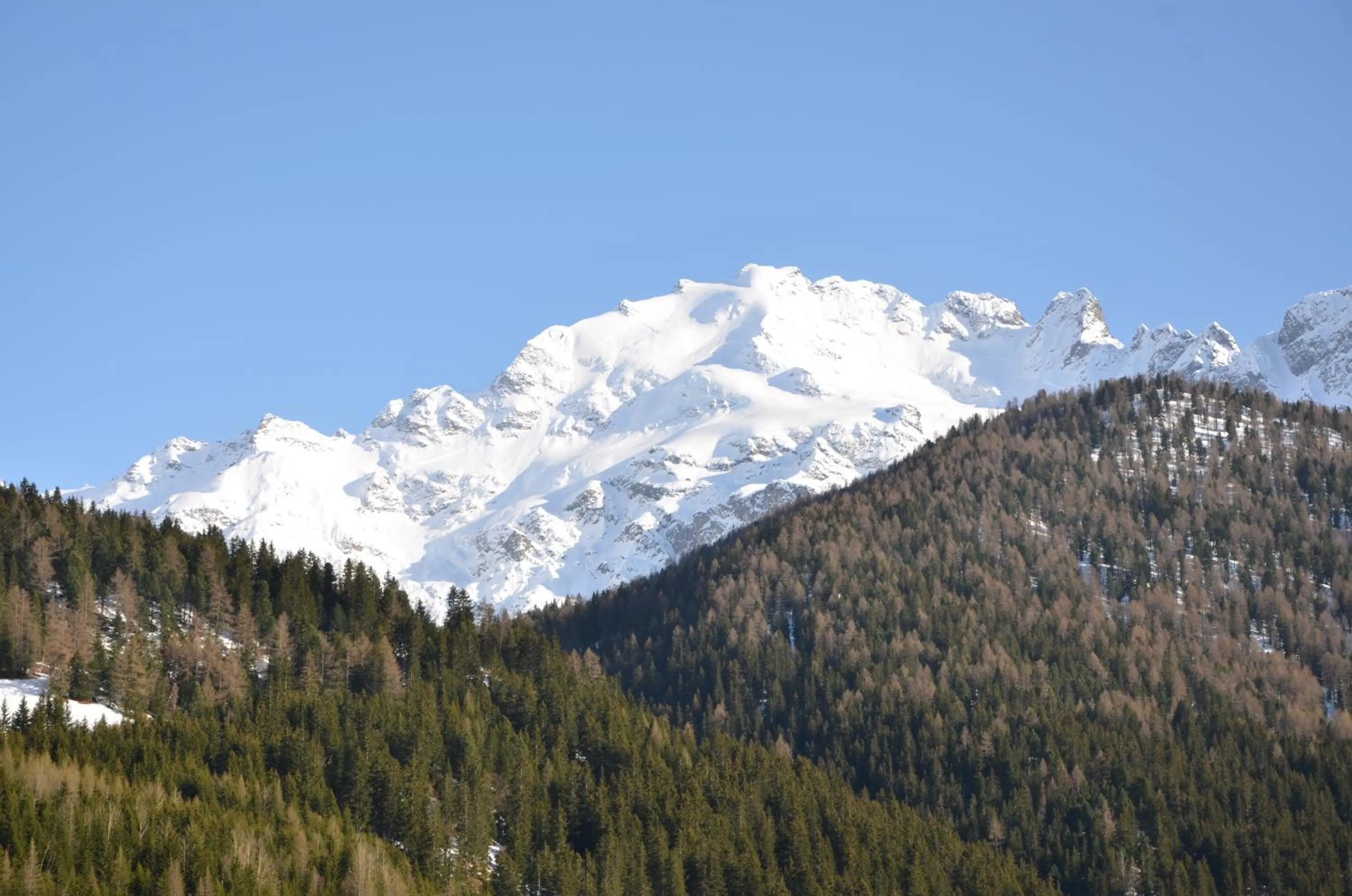 Hiking in Meublè Rosalpina