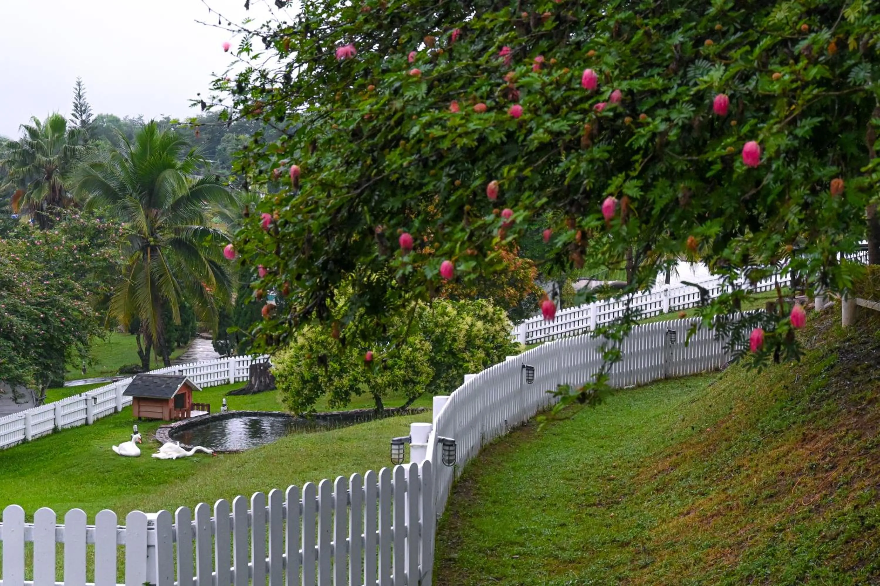 Garden view in Swiss Valley Hip Resort