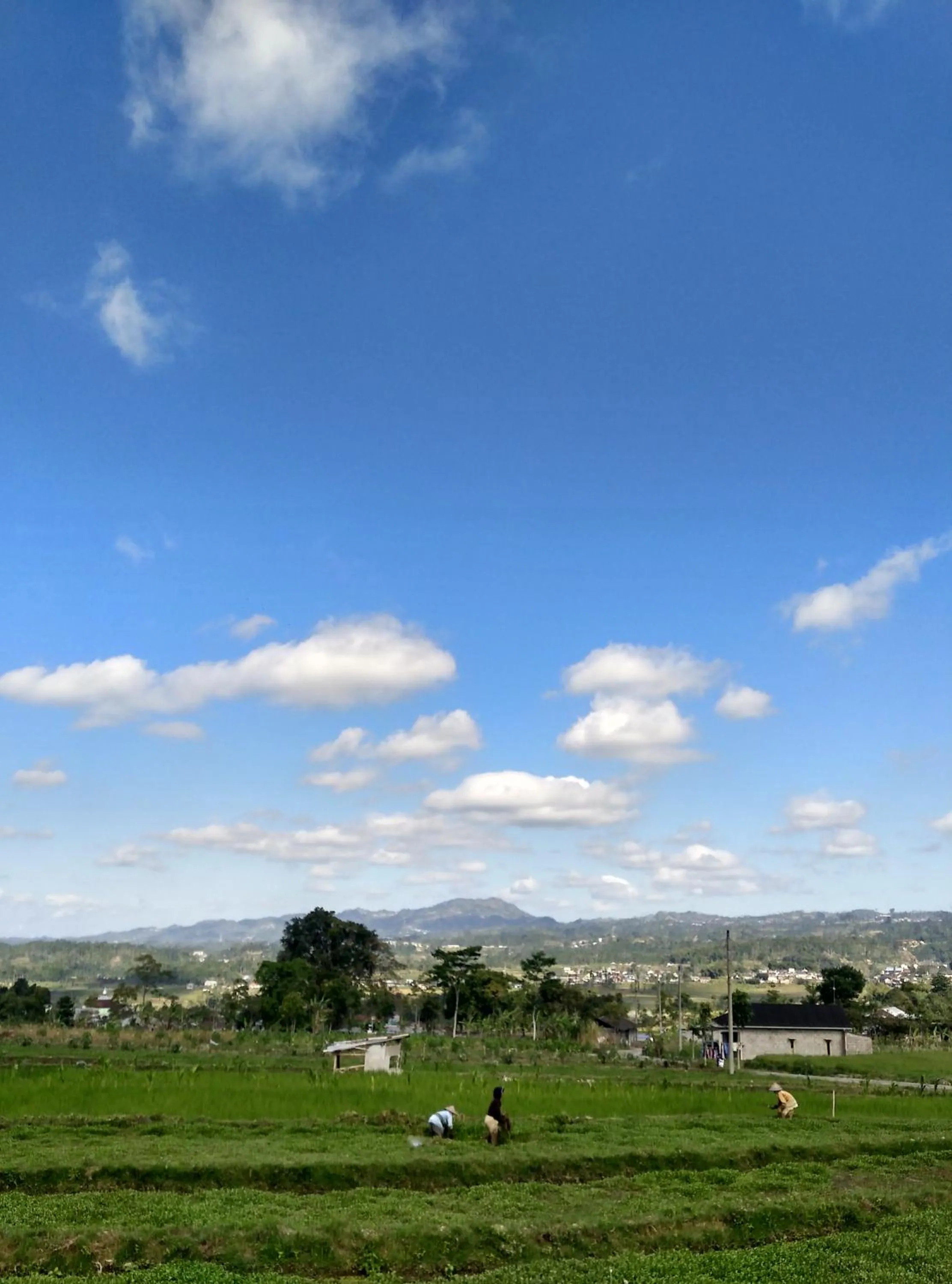 Property building in Pondok Bamboo Sendangsari