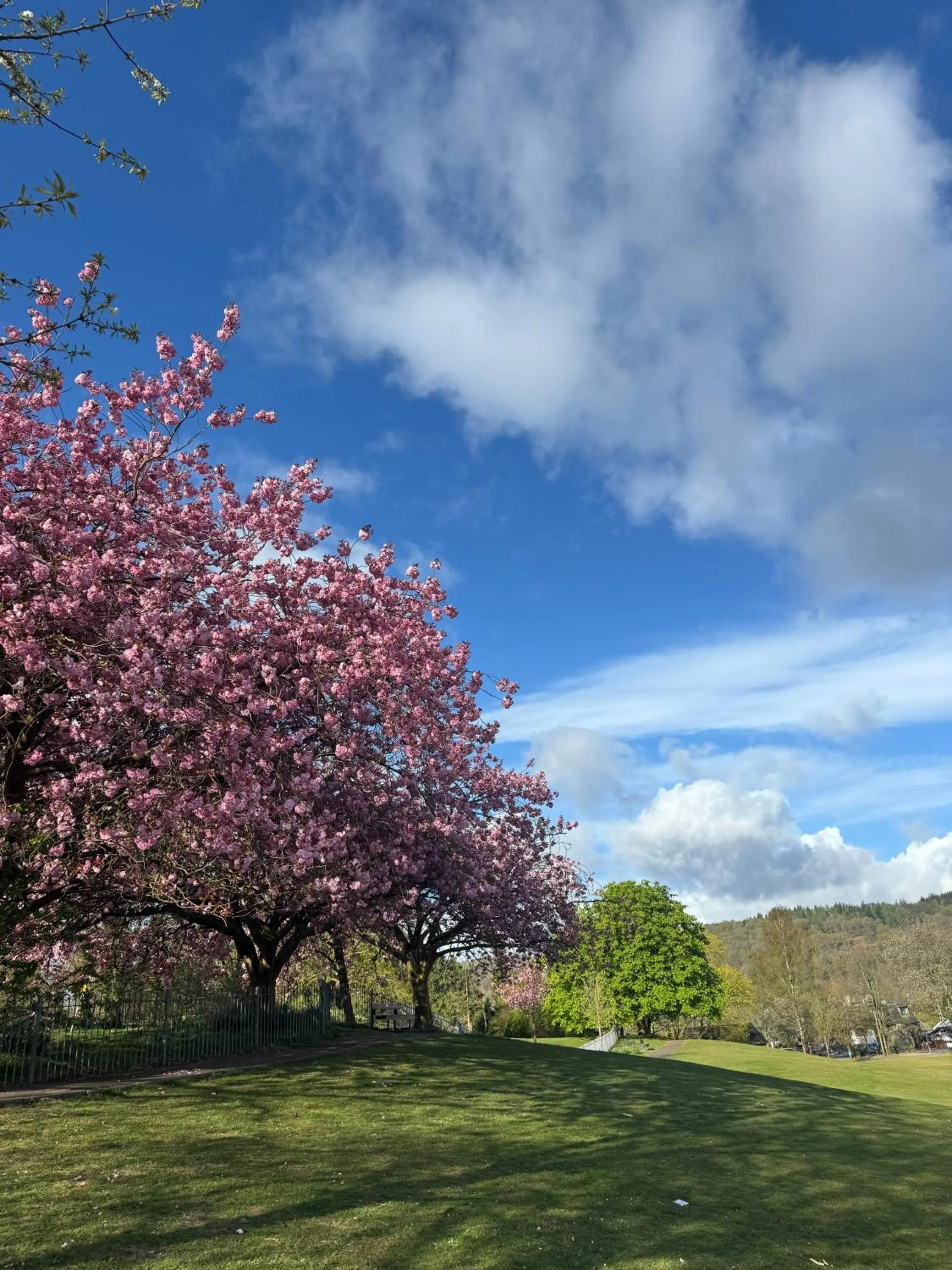 Natural landscape in Denecrest Guest House