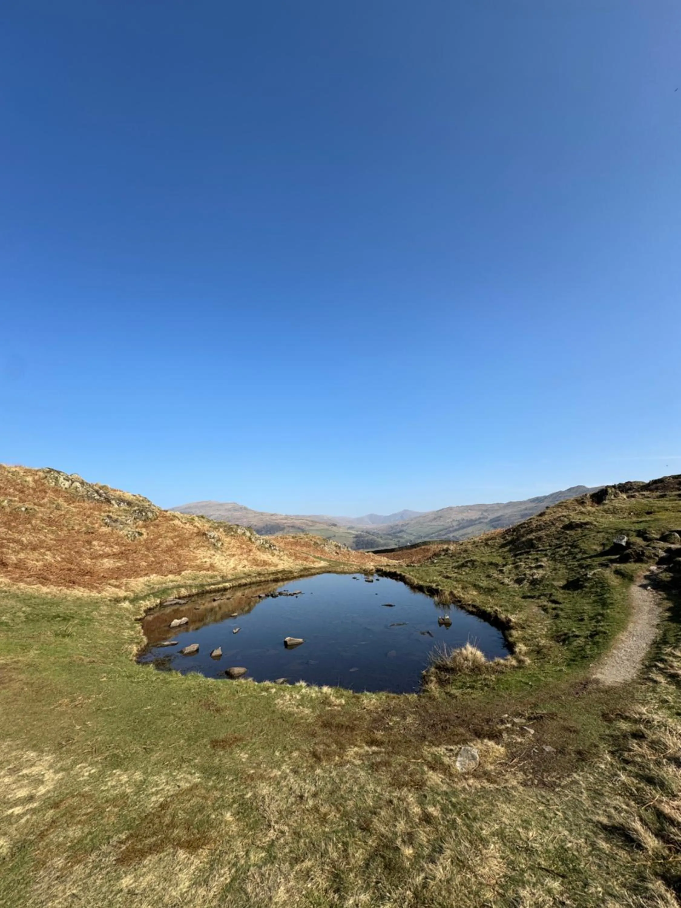 Natural landscape in Denecrest Guest House