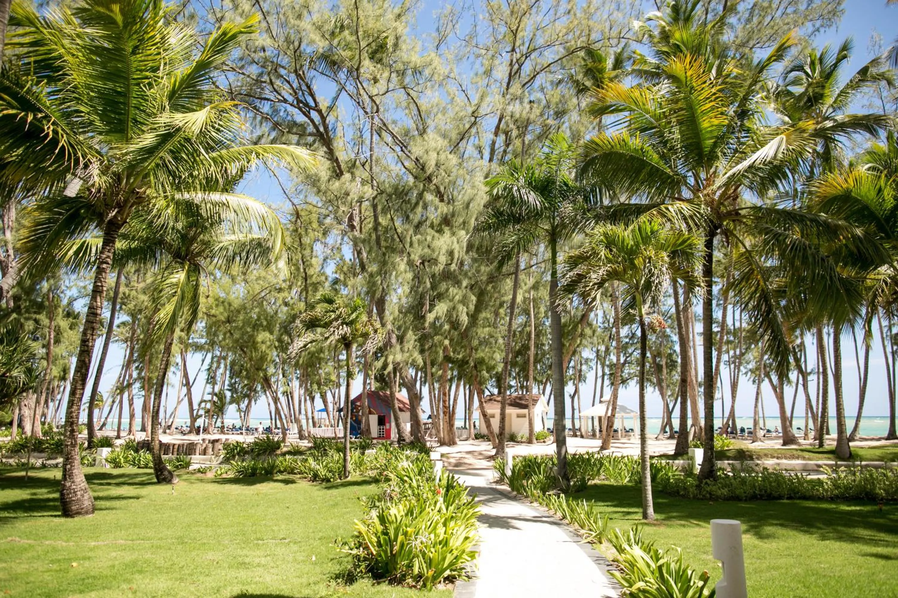 Garden in Vista Sol Punta Cana Beach Resort & Spa - All Inclusive