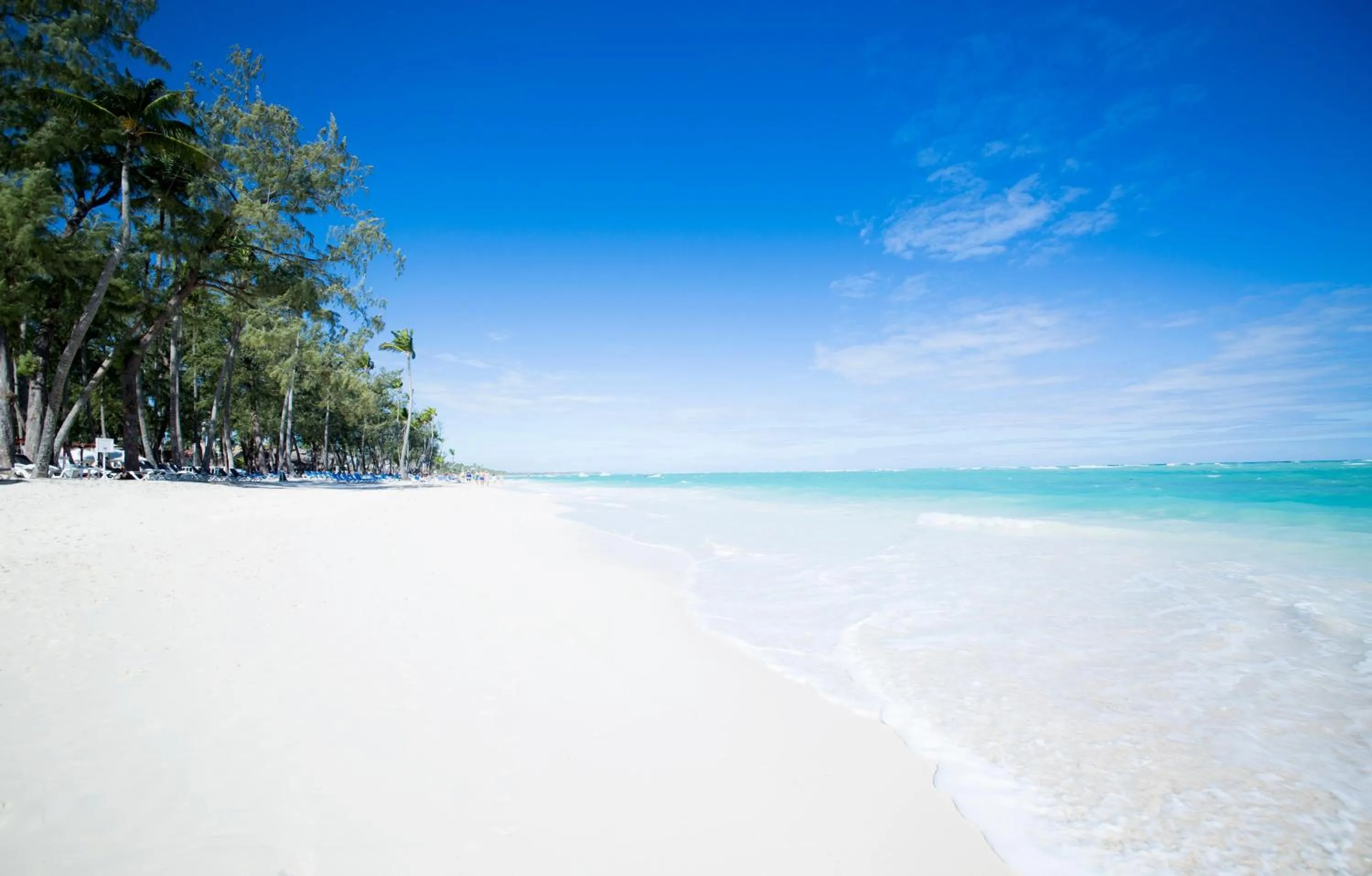 Beach in Vista Sol Punta Cana Beach Resort & Spa - All Inclusive