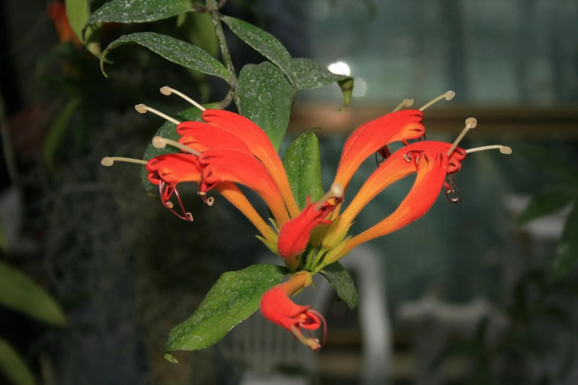 Spring in Reva Castel