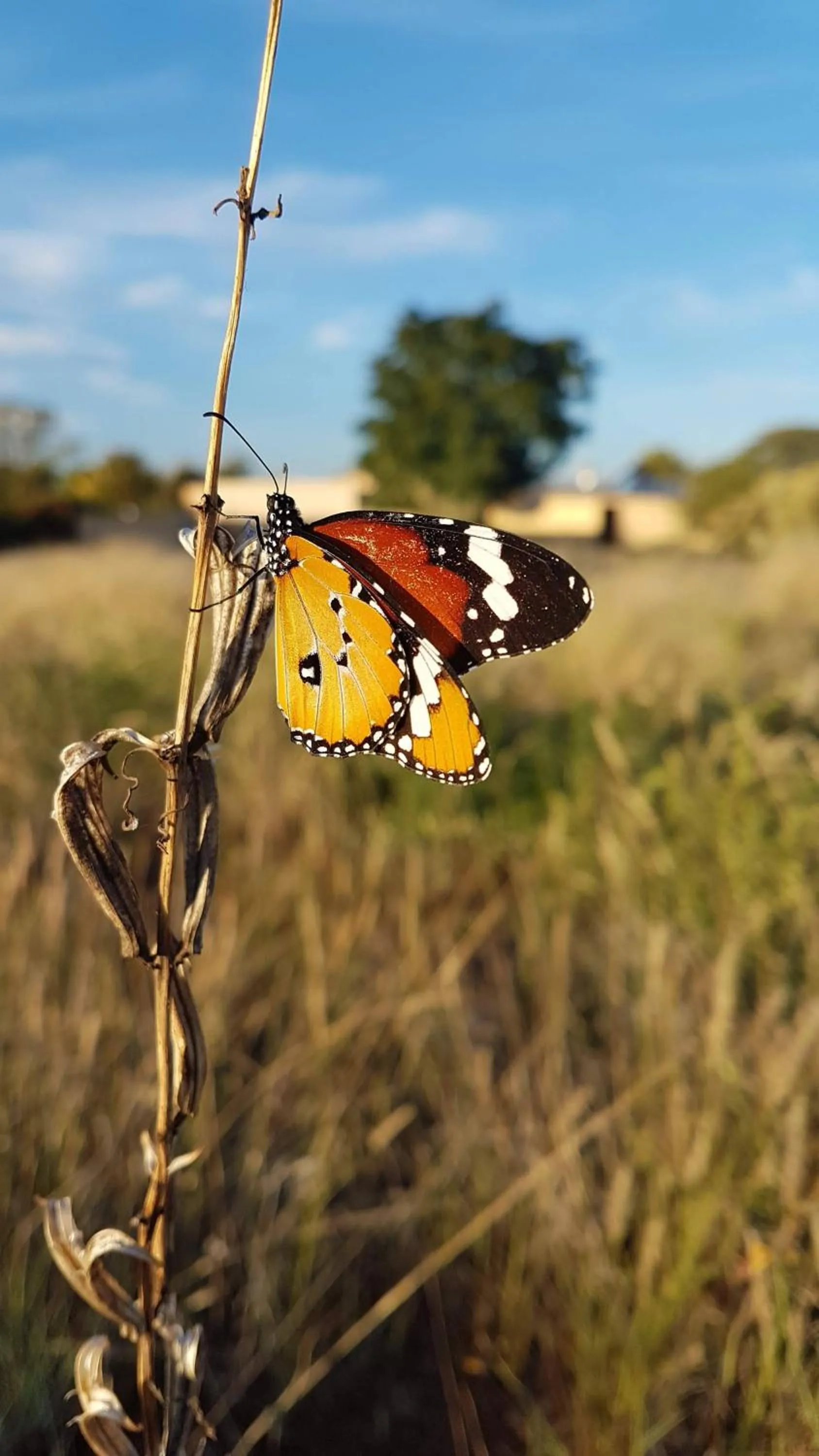 Neighbourhood in Eldorado Lodge CC