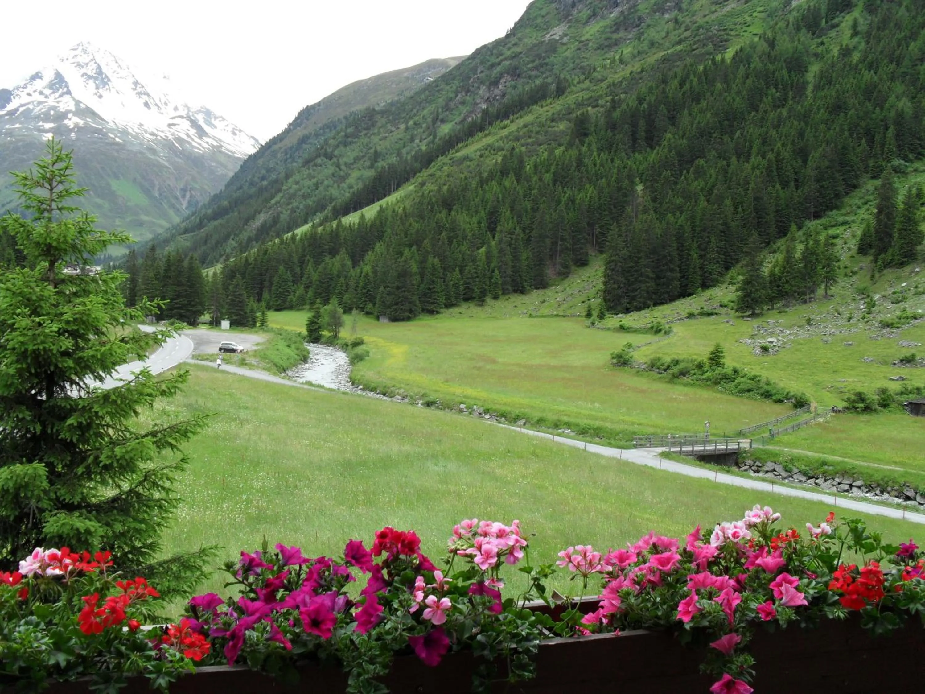 View (from property/room) in Haus Elisabeth