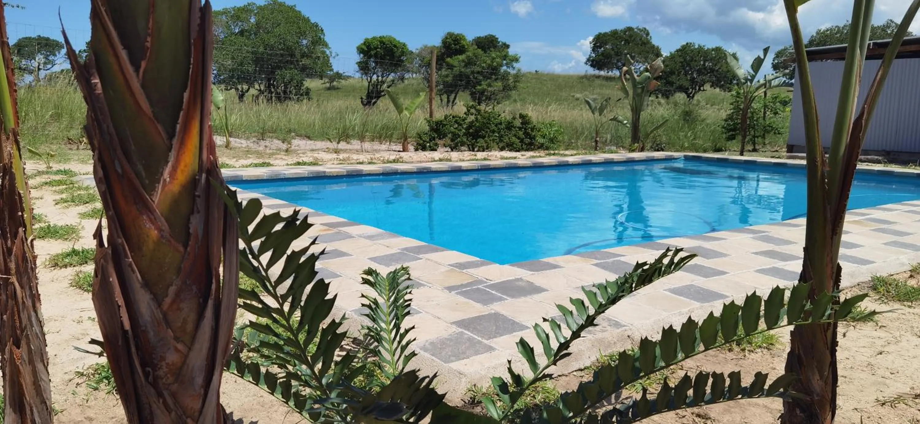 Swimming pool in Kingfisher Bush Lodge
