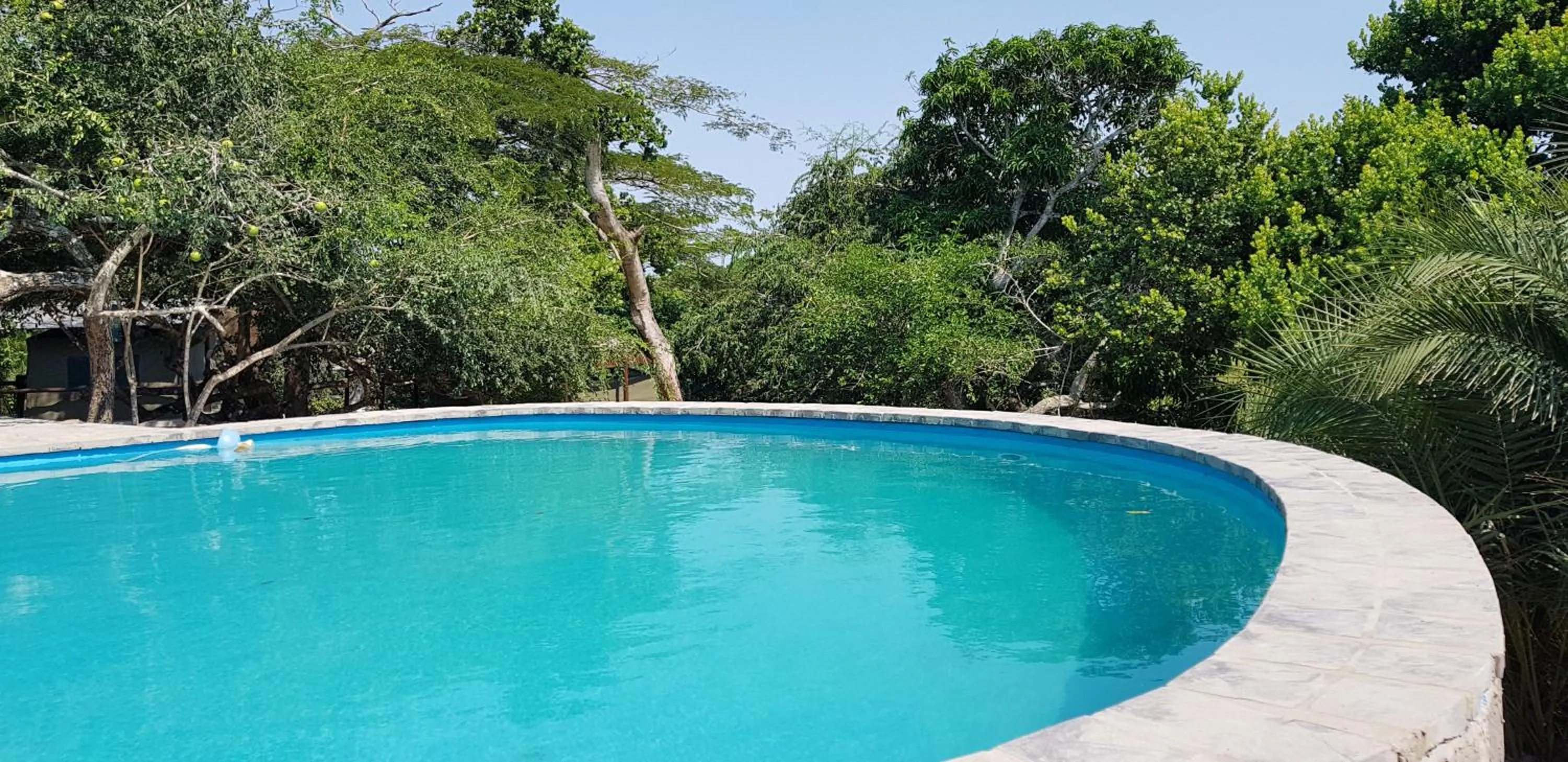 Swimming pool in Kingfisher Bush Lodge