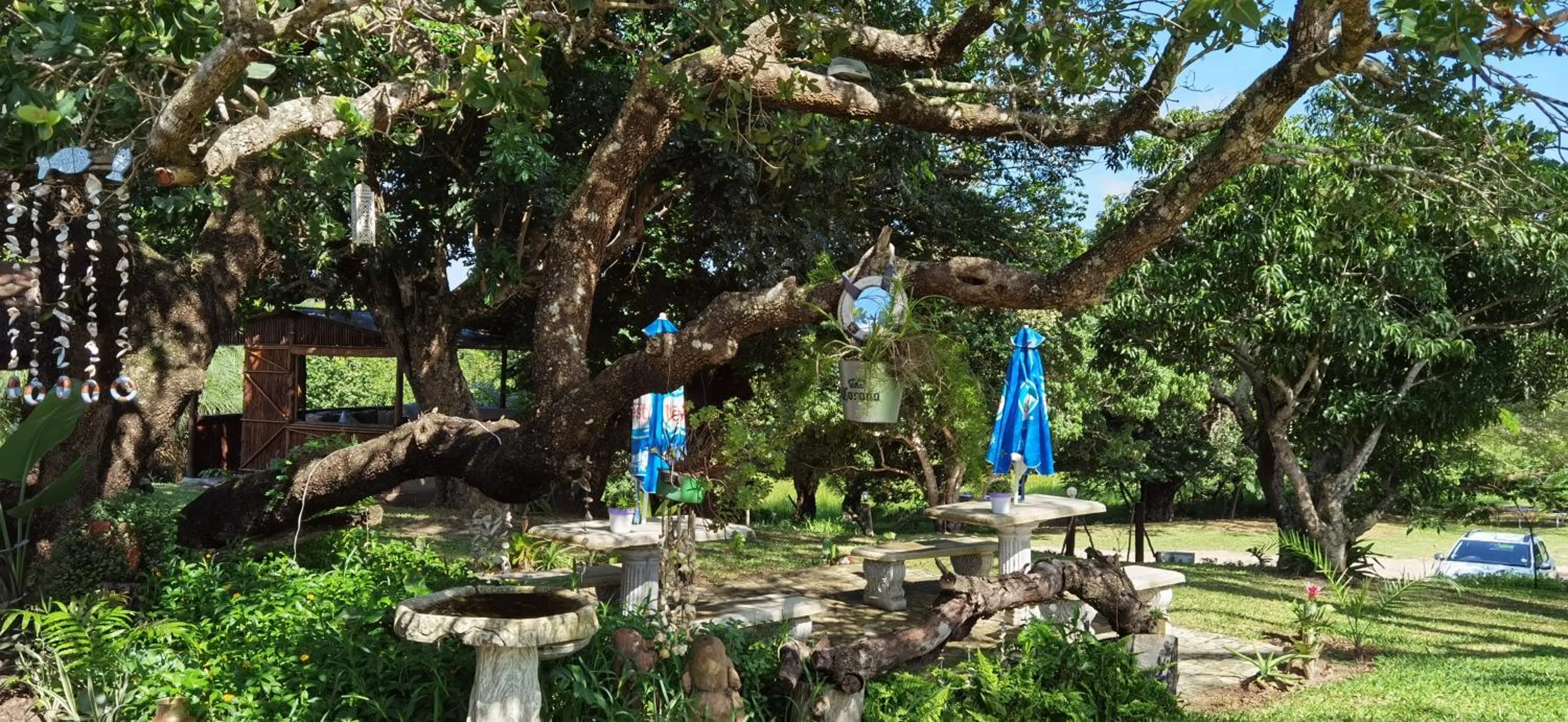 Kingfisher Bush Lodge