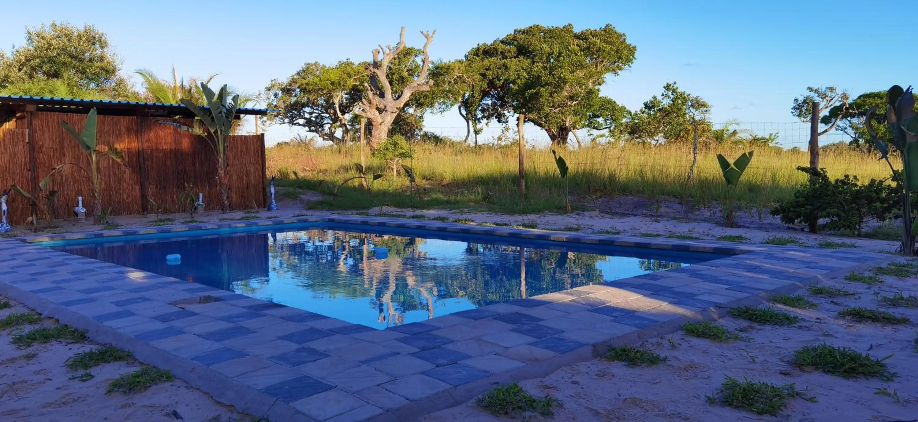 Swimming pool in Kingfisher Bush Lodge