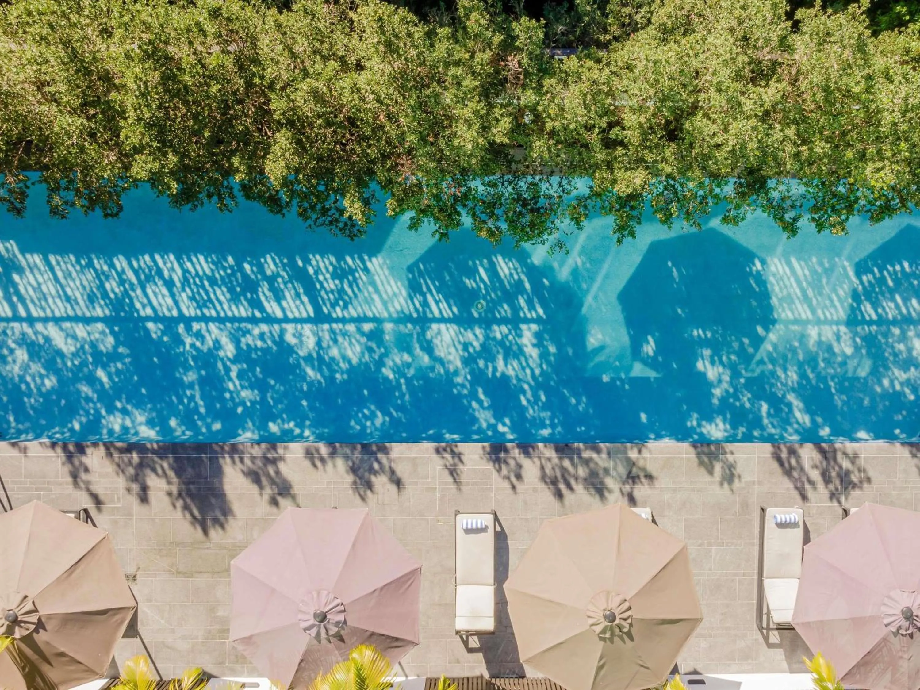 Pool view in Novotel Brisbane South Bank