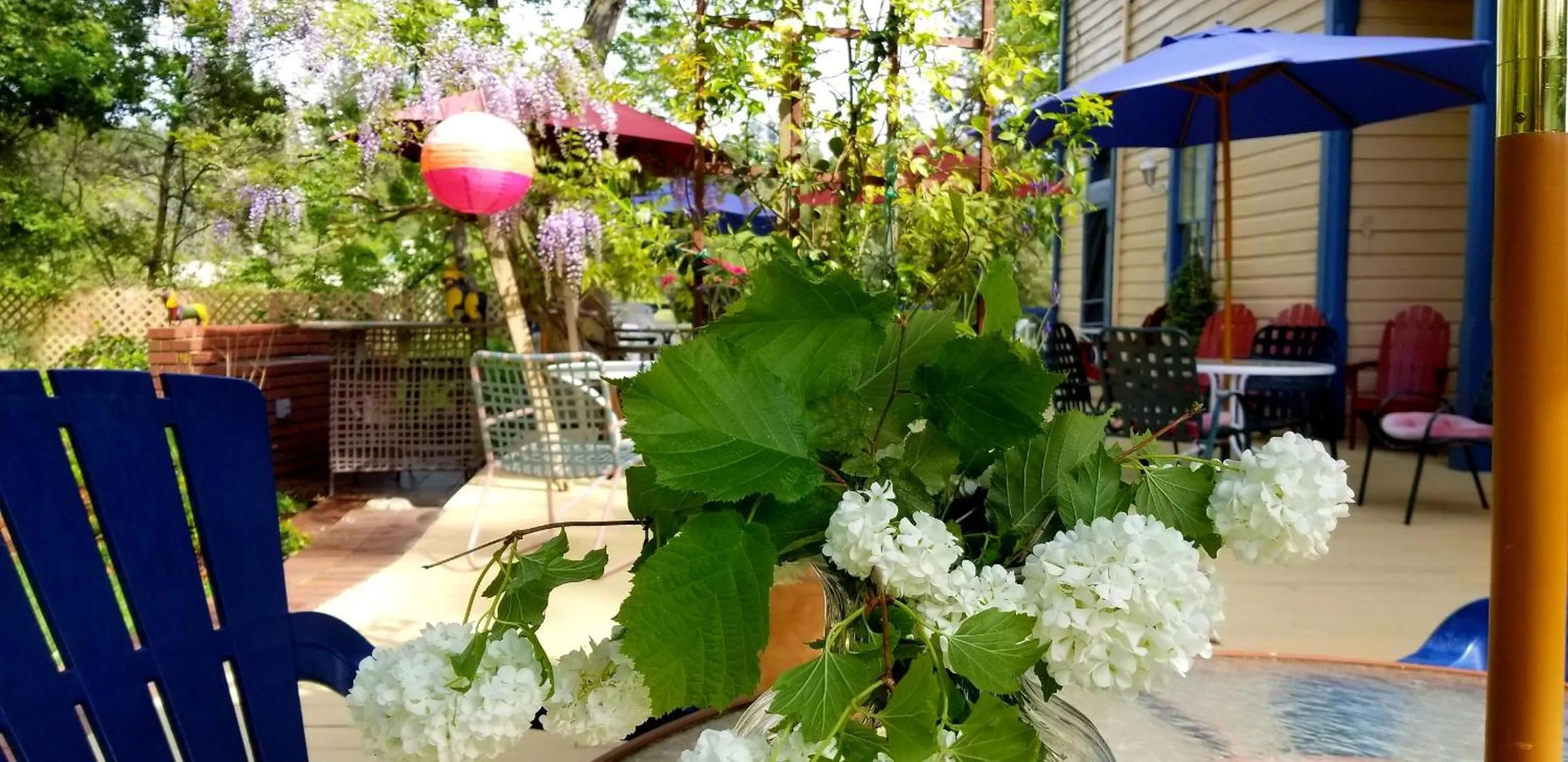 Garden in American River Inn