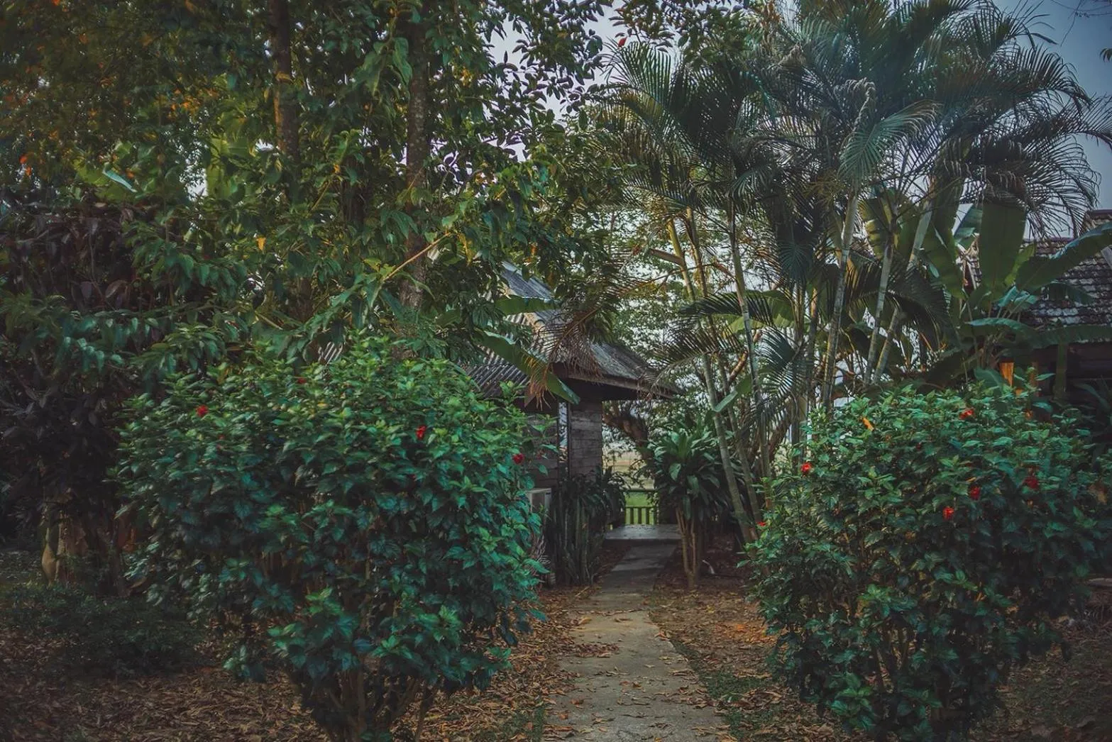 Natural landscape in Kalm Pai