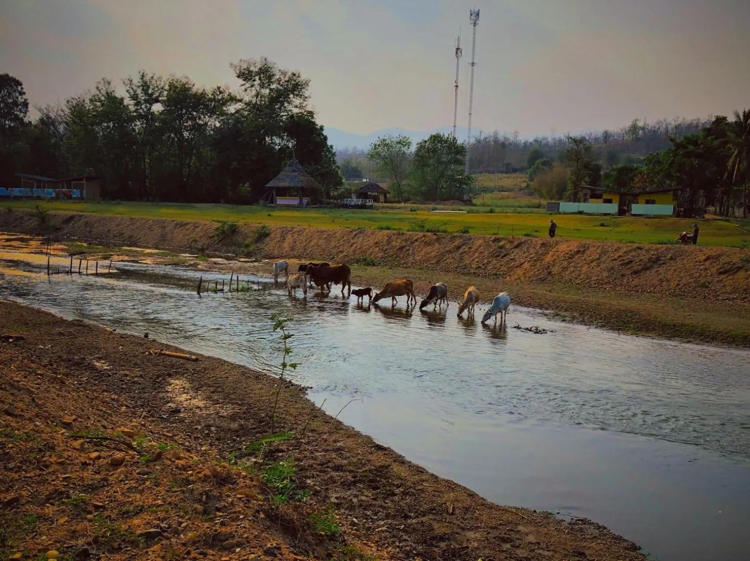 Neighbourhood in Kalm Pai