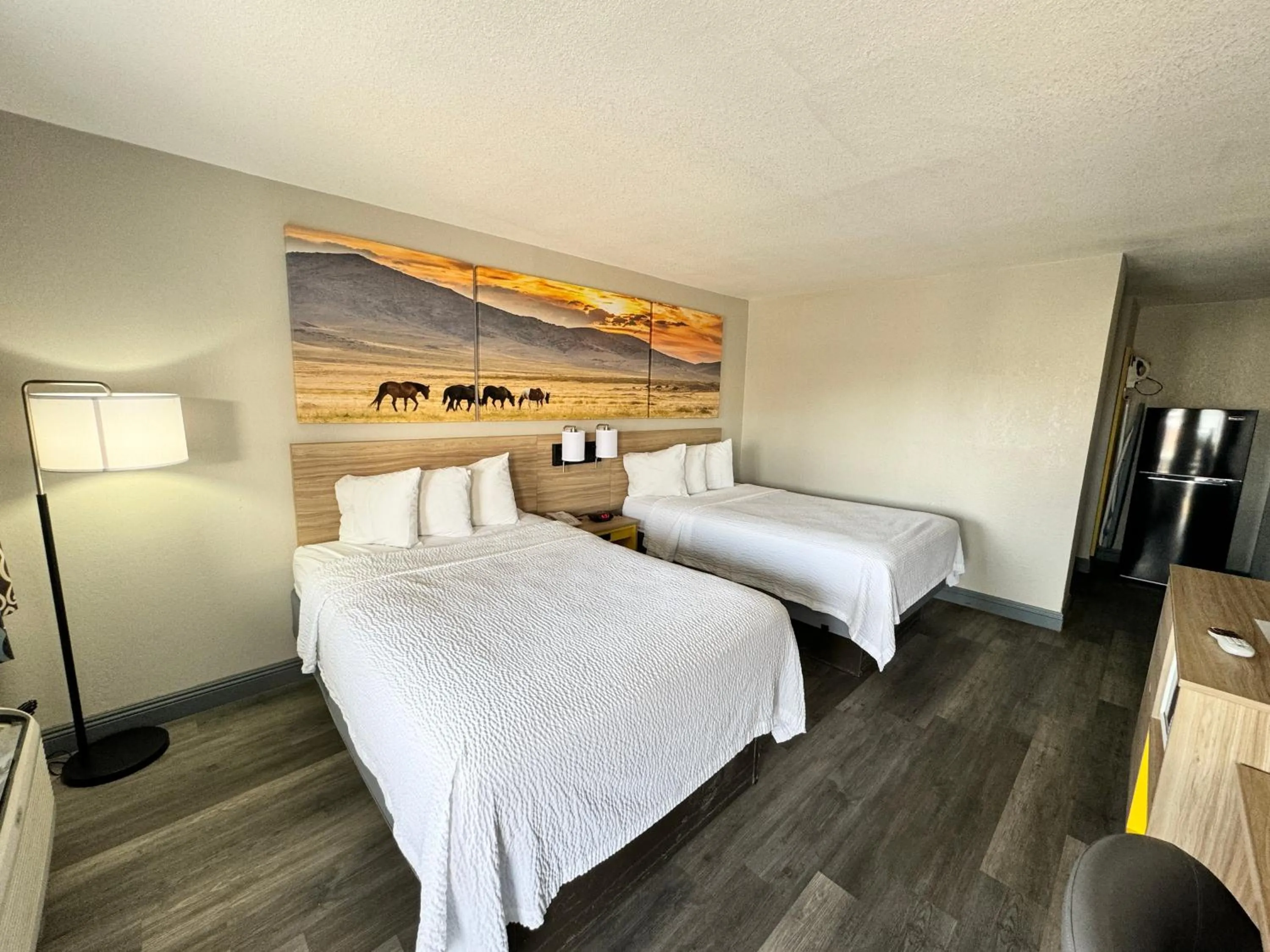 Photo of the whole room, Bed in Days Inn by Wyndham Van Horn TX