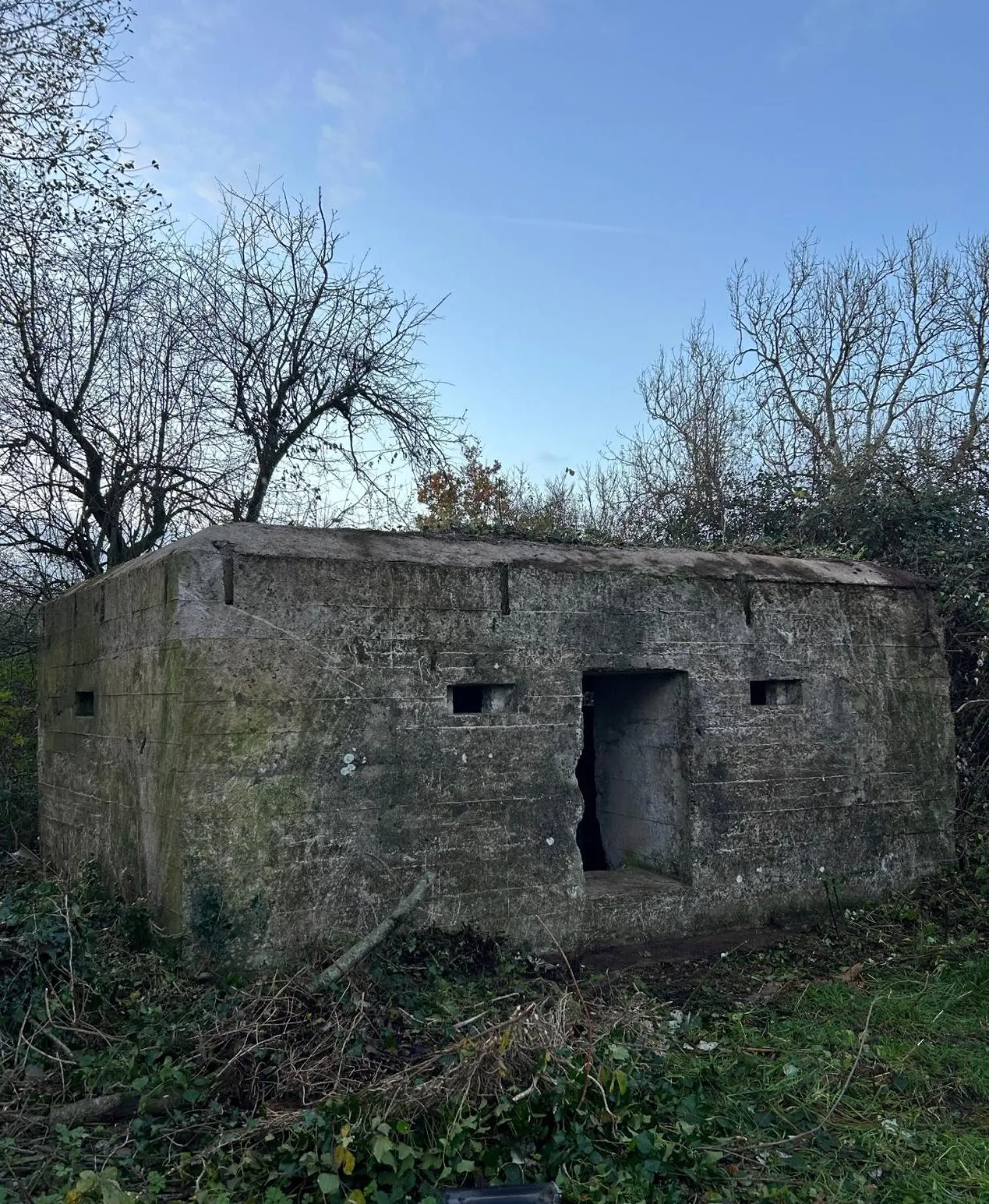 Activities in The Golden Fleece