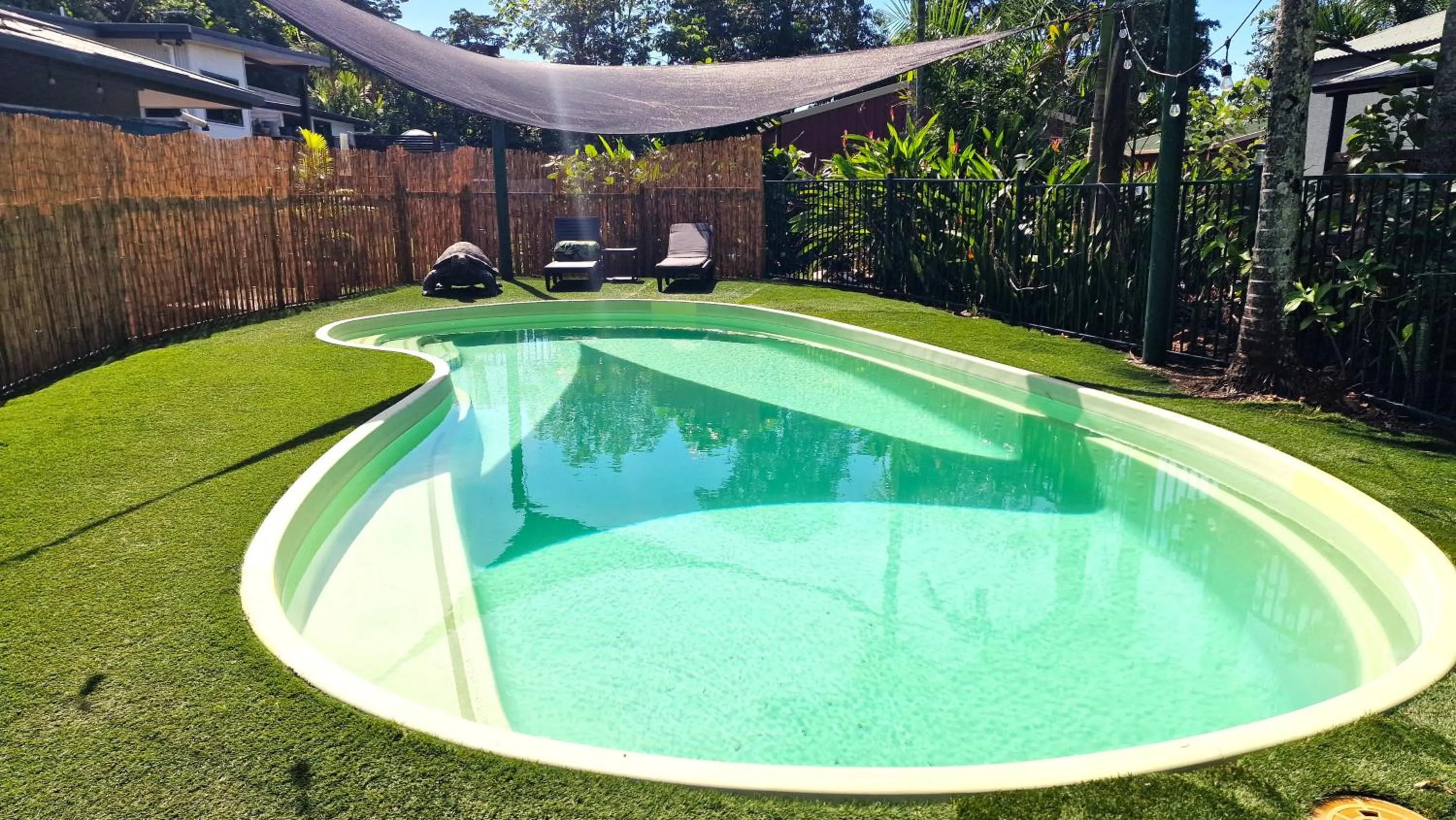 Swimming pool in Rainforest Motel