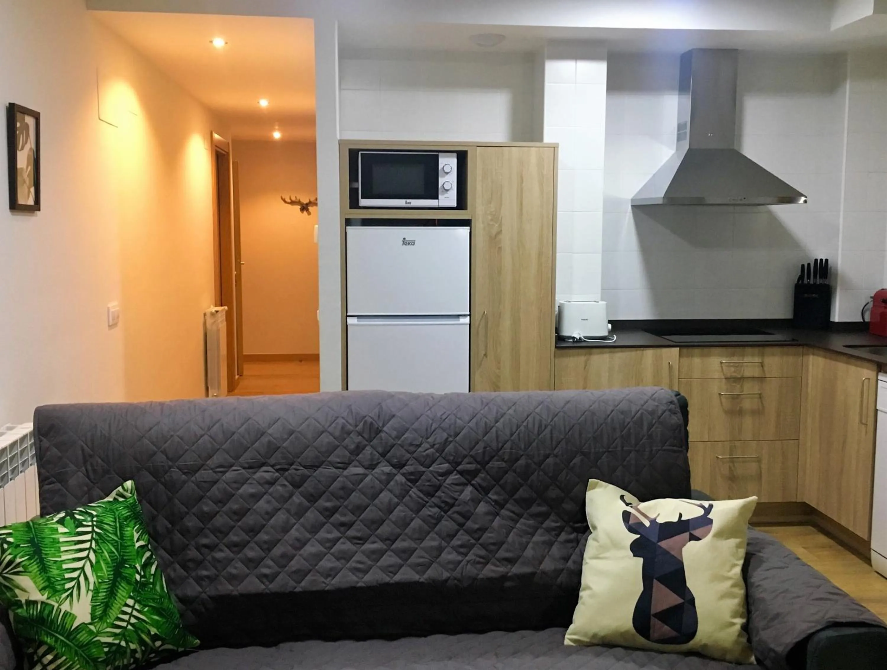 Apartamentos Maladeta