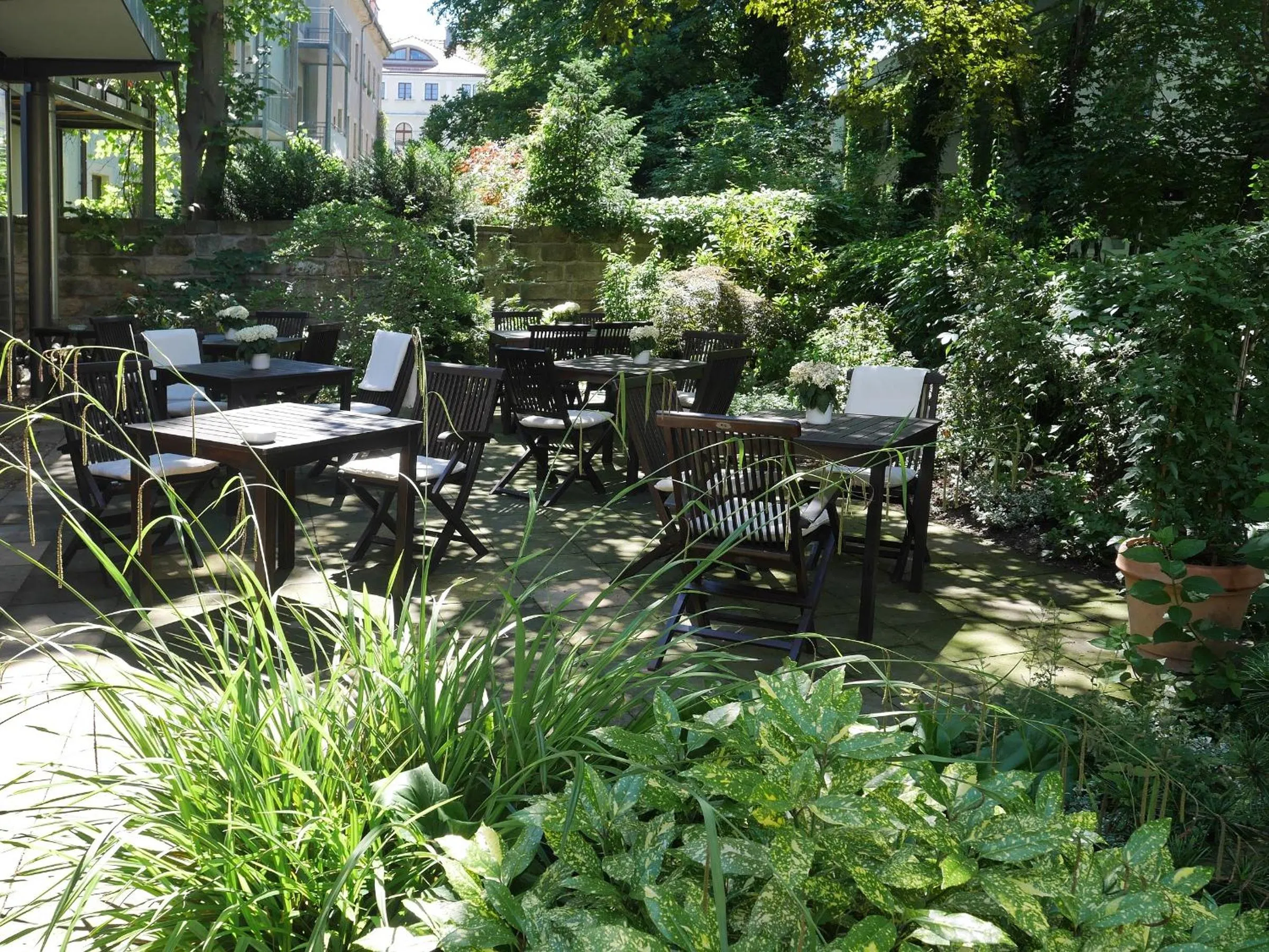 Garden in Hotel Martha Dresden