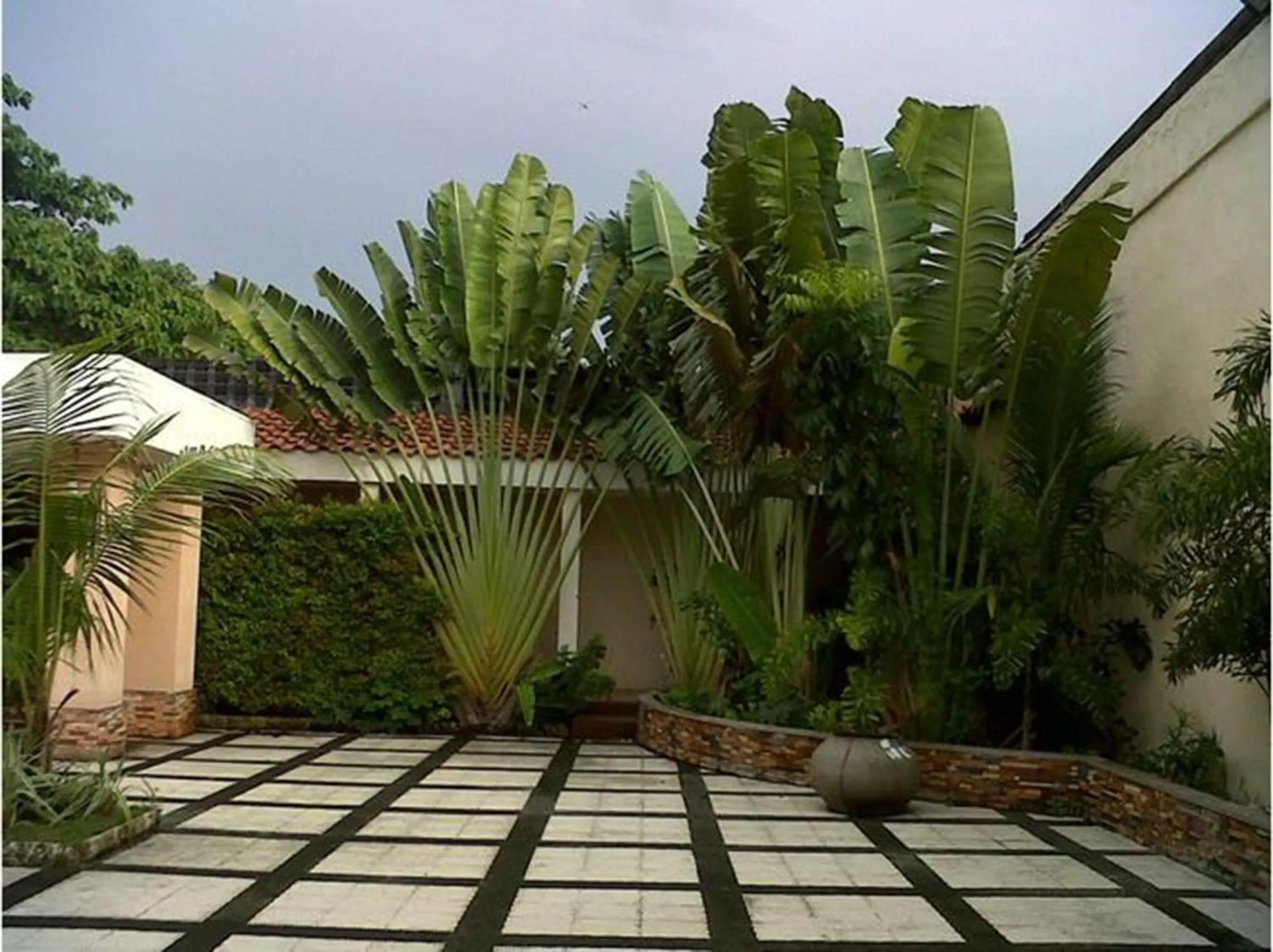 Garden in The Orchard Cebu Hotel & Suites powered by Cocotel