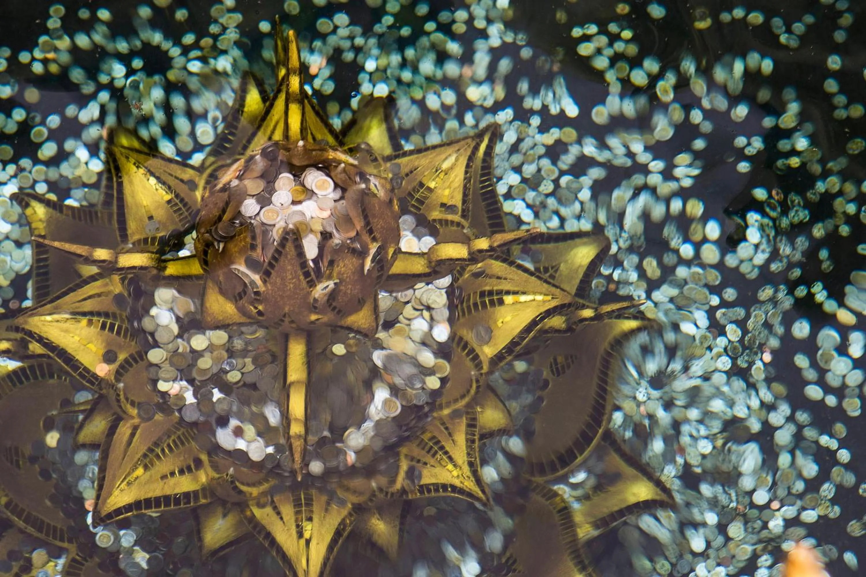 Other in Le Meridien Chiang Rai Resort, Thailand