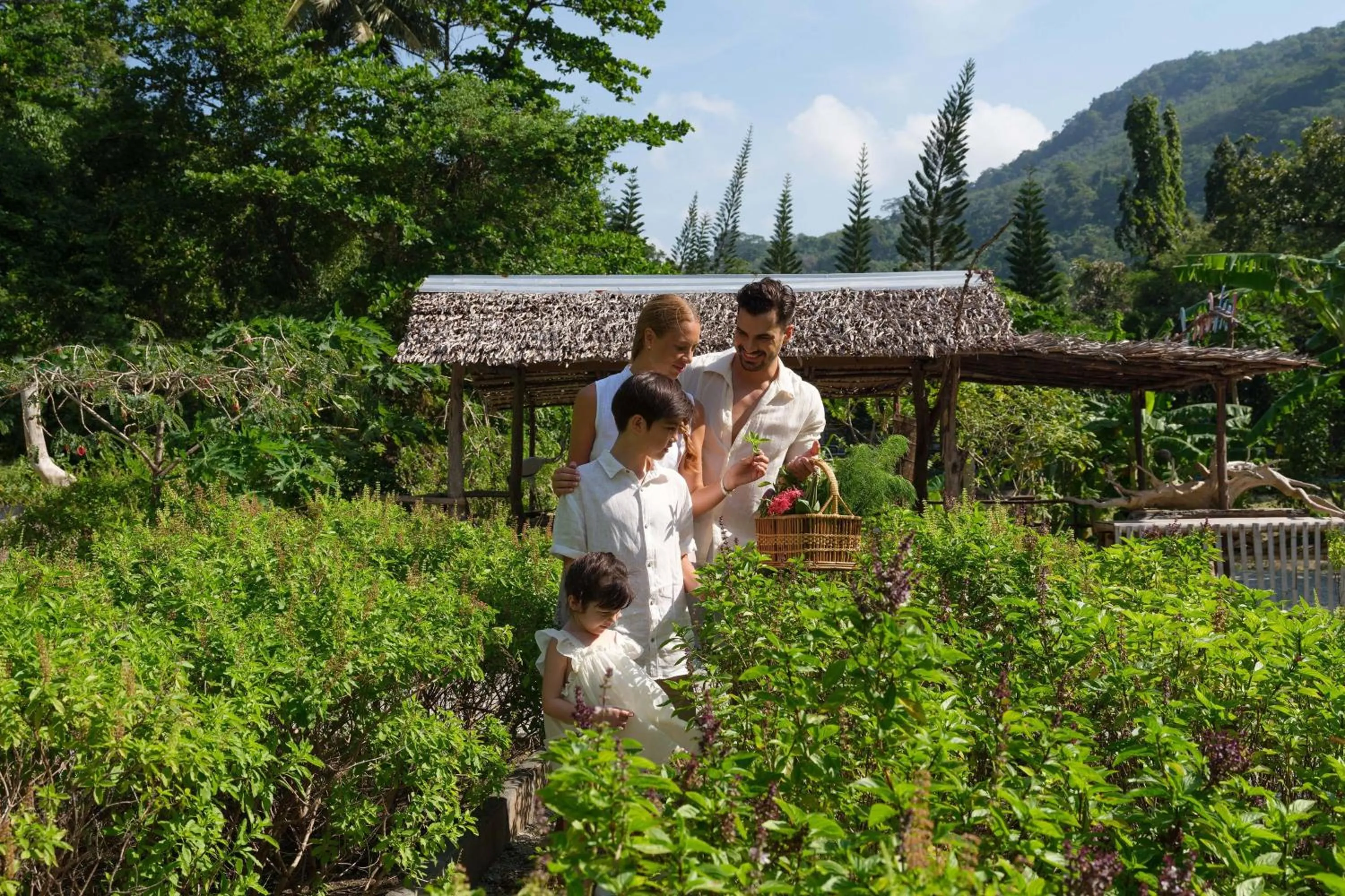 Other in Le Meridien Phuket Beach Resort