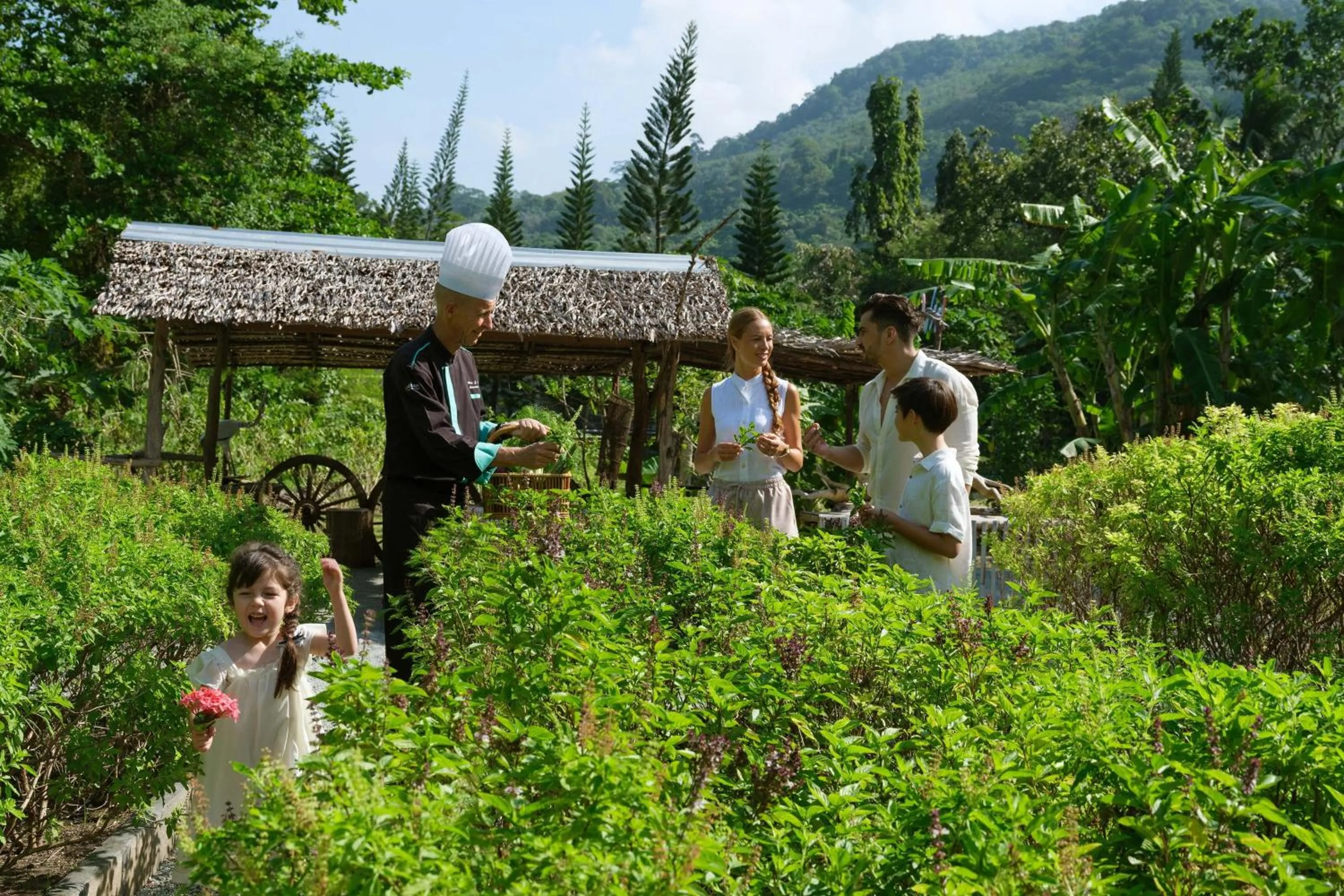 Other in Le Meridien Phuket Beach Resort