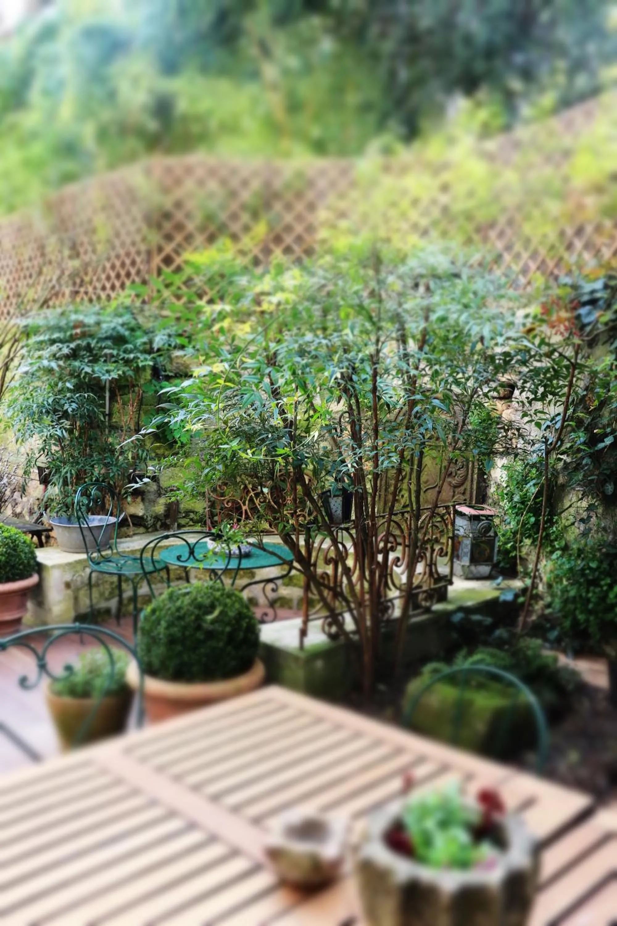 Property building in Le 66