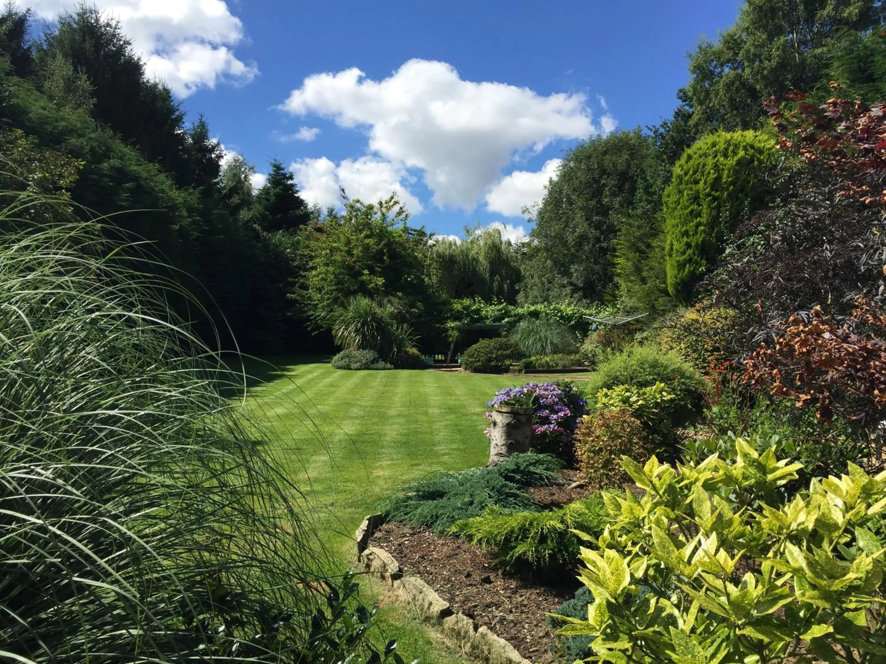 Bird's eye view in Beechwood B and B