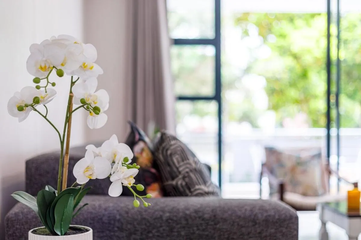 Other in Waterstone A103 by CTHA