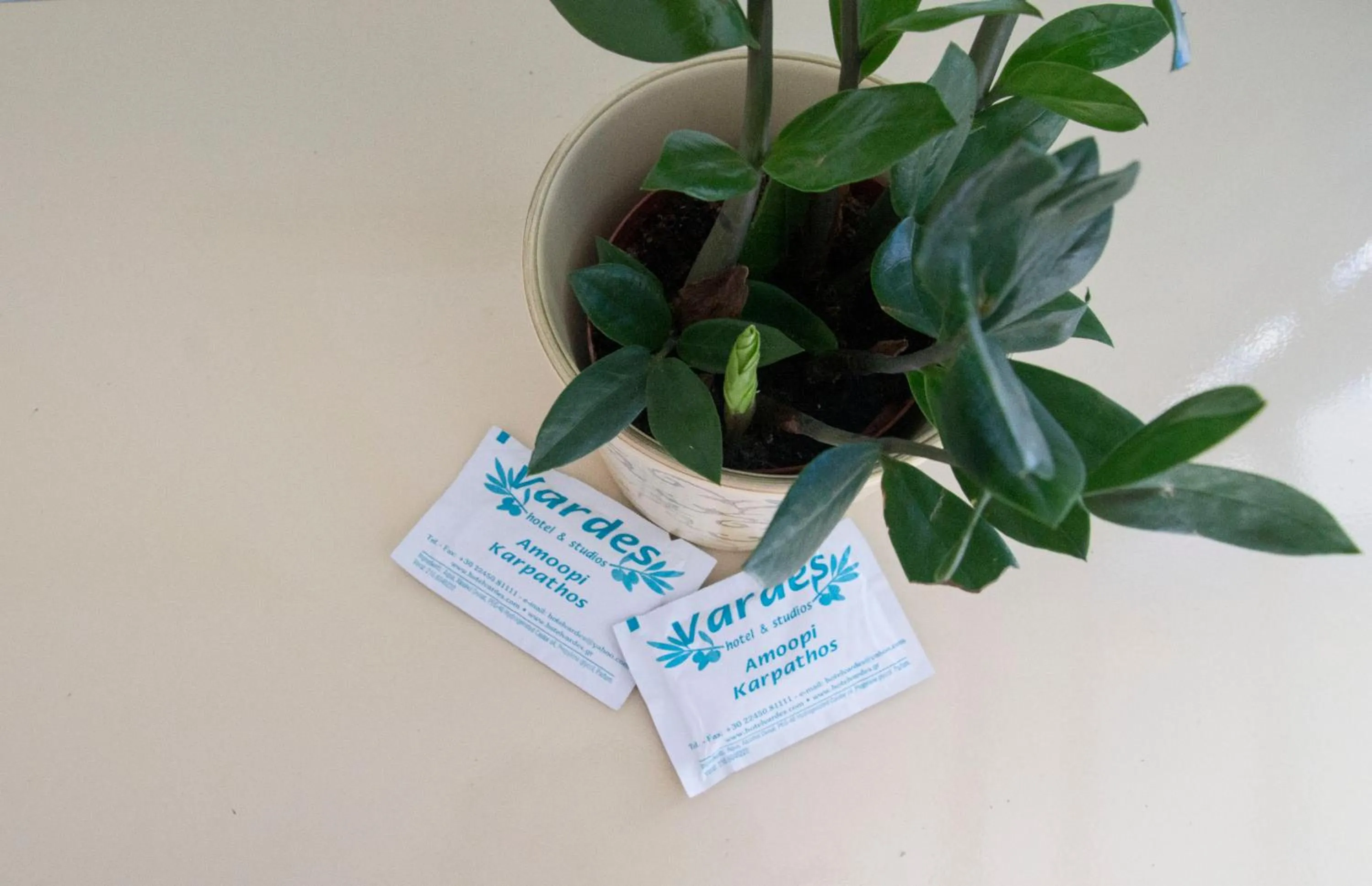 Vardes Hotel Studios