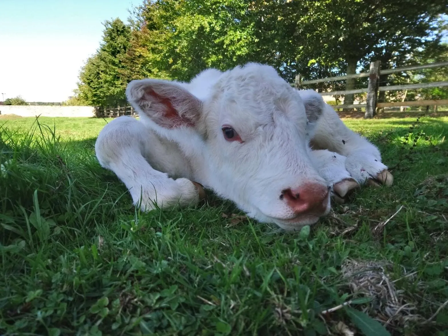 La Mare aux 3 Diables