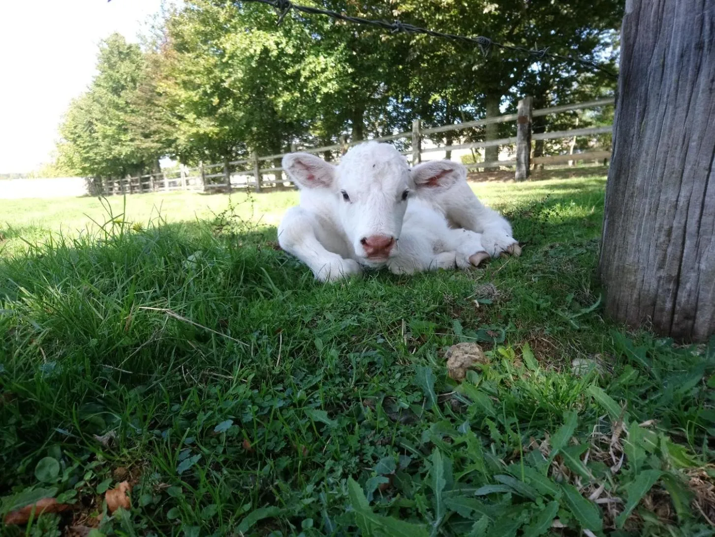 La Mare aux 3 Diables