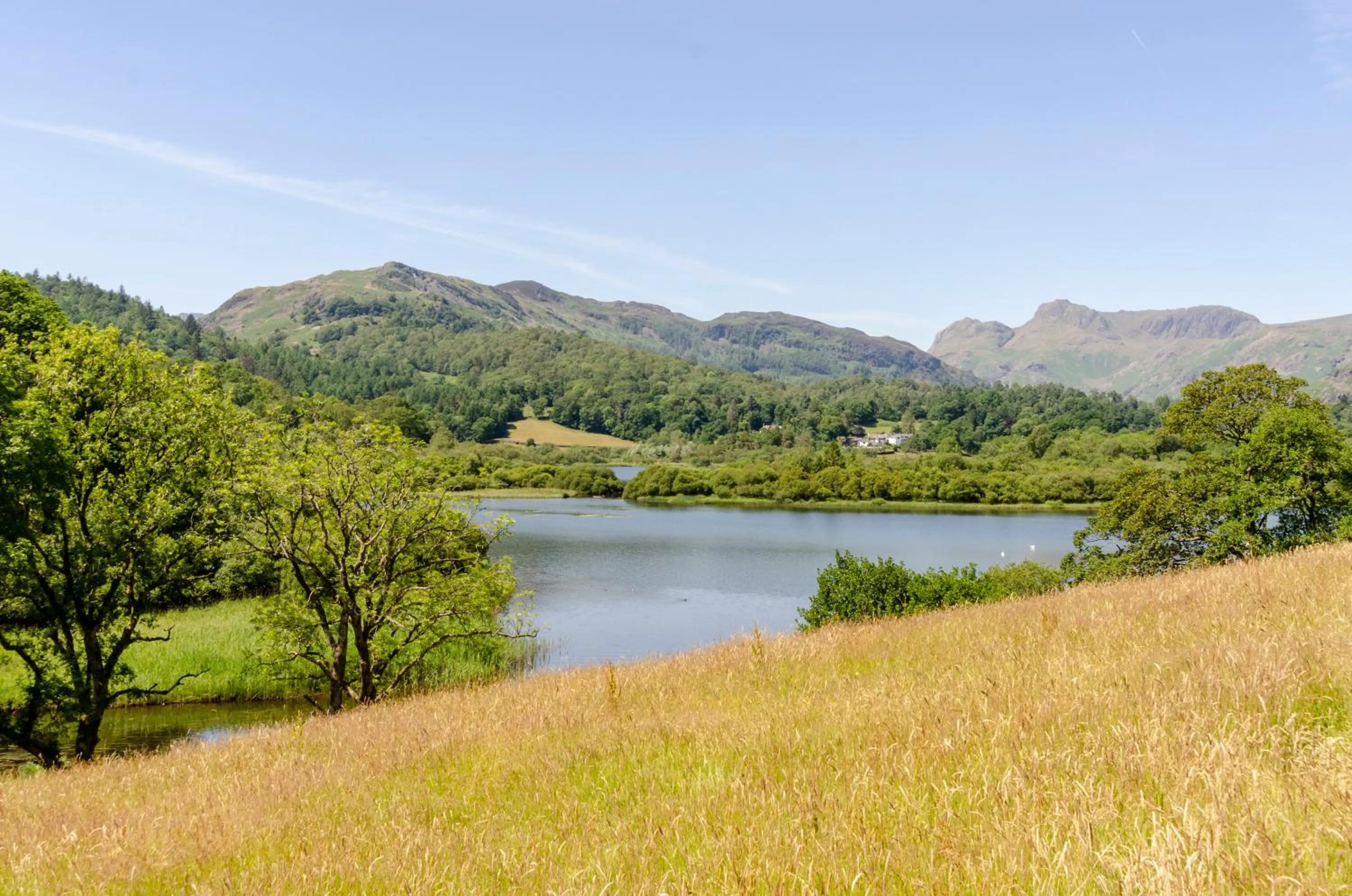 View (from property/room) in Eltermere Inn