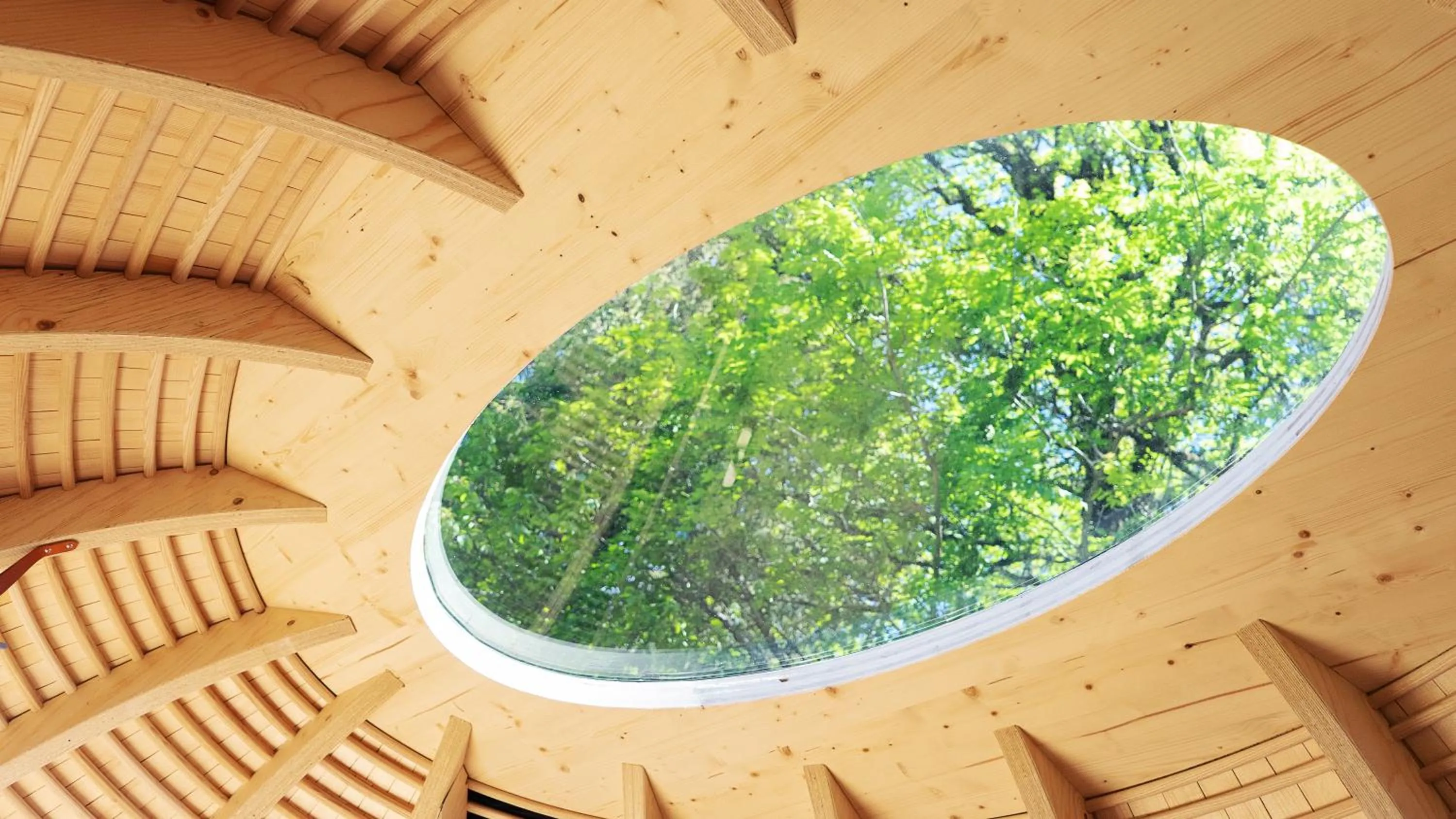 Photo of the whole room in Grindelwald Youth Hostel