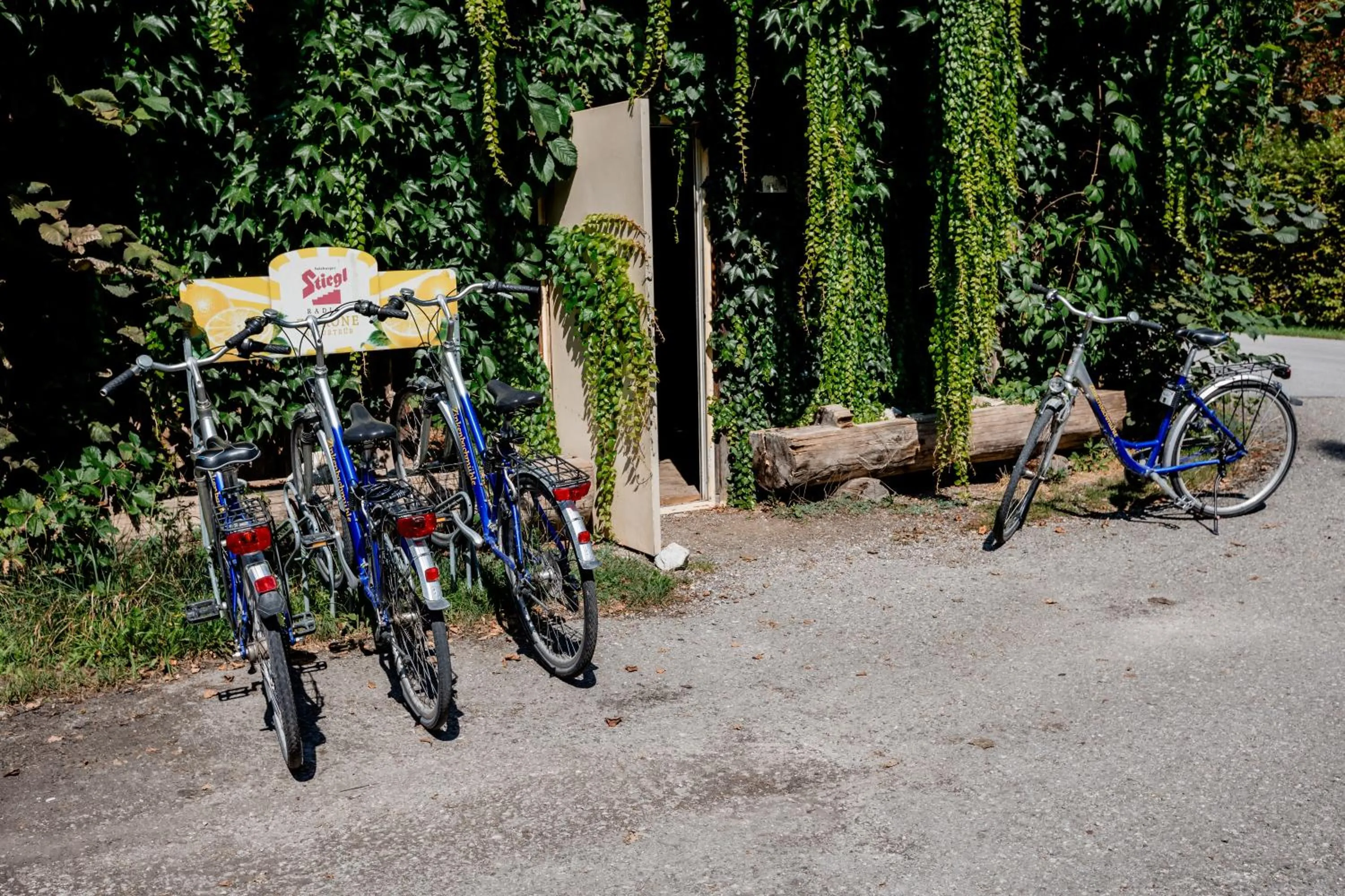 Cycling in Gasthof Zinkenbachmühle