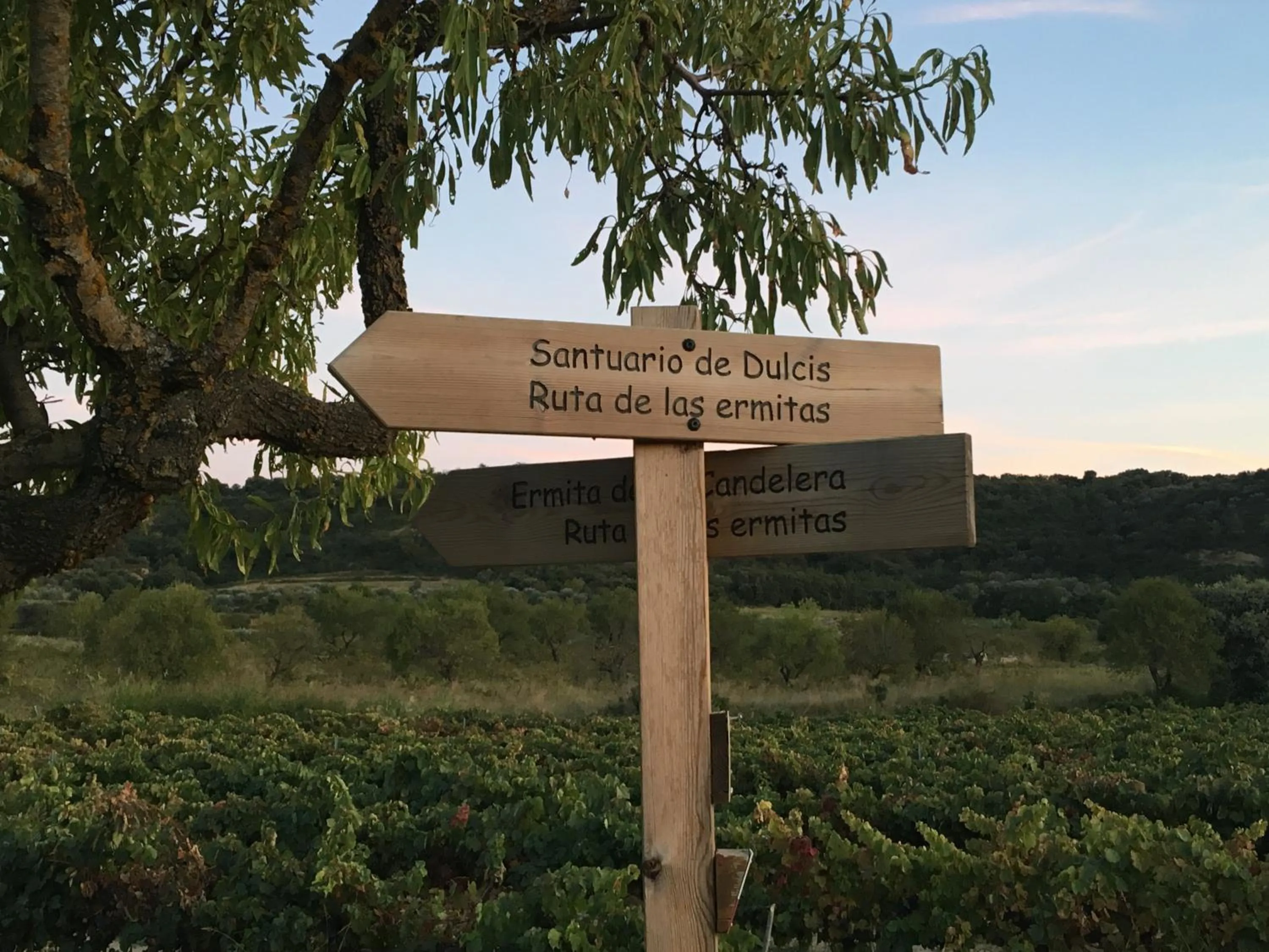 Hiking in Hotel La Posada de Lalola