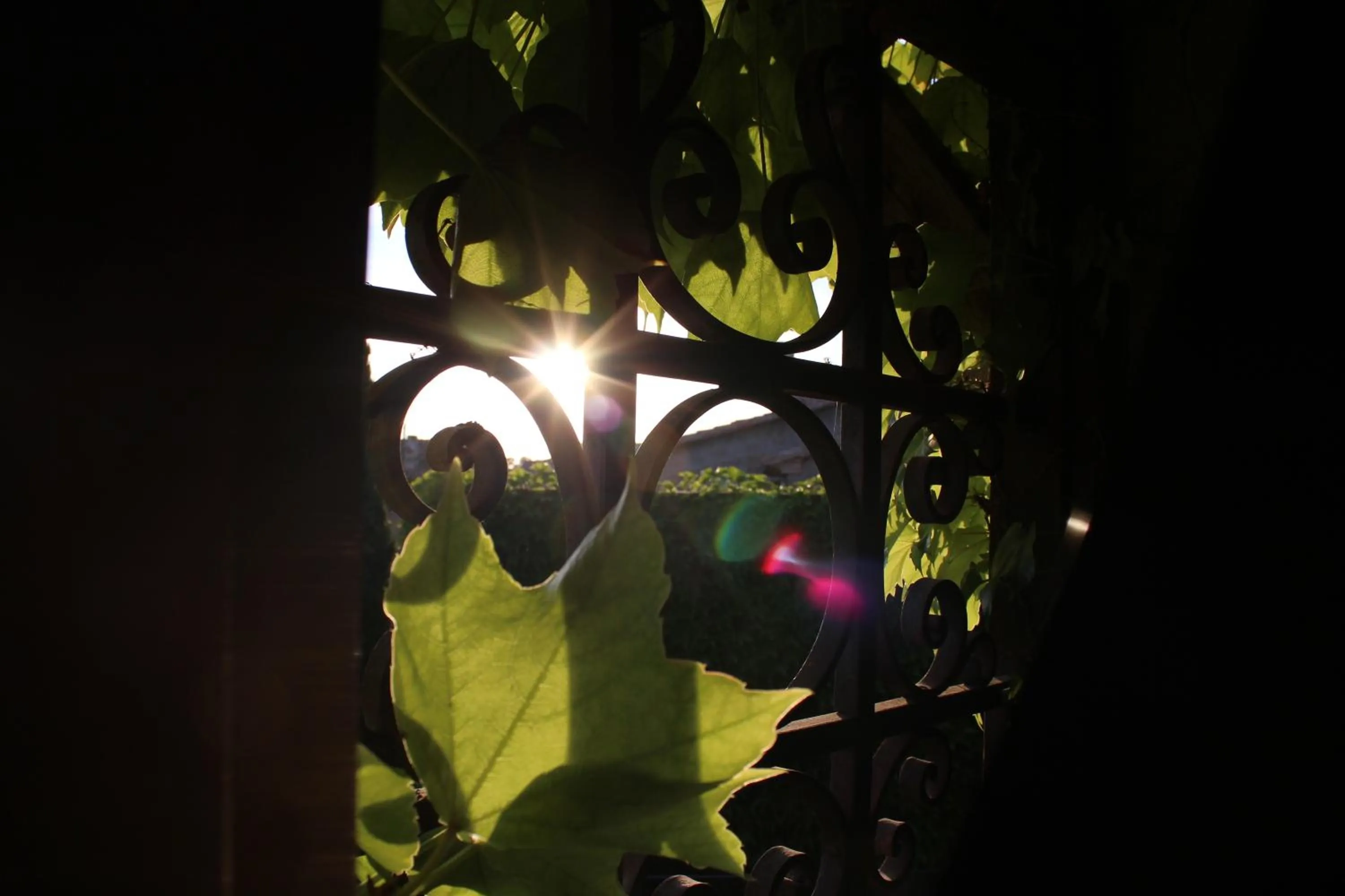 Area and facilities in Hotel La Posada de Lalola