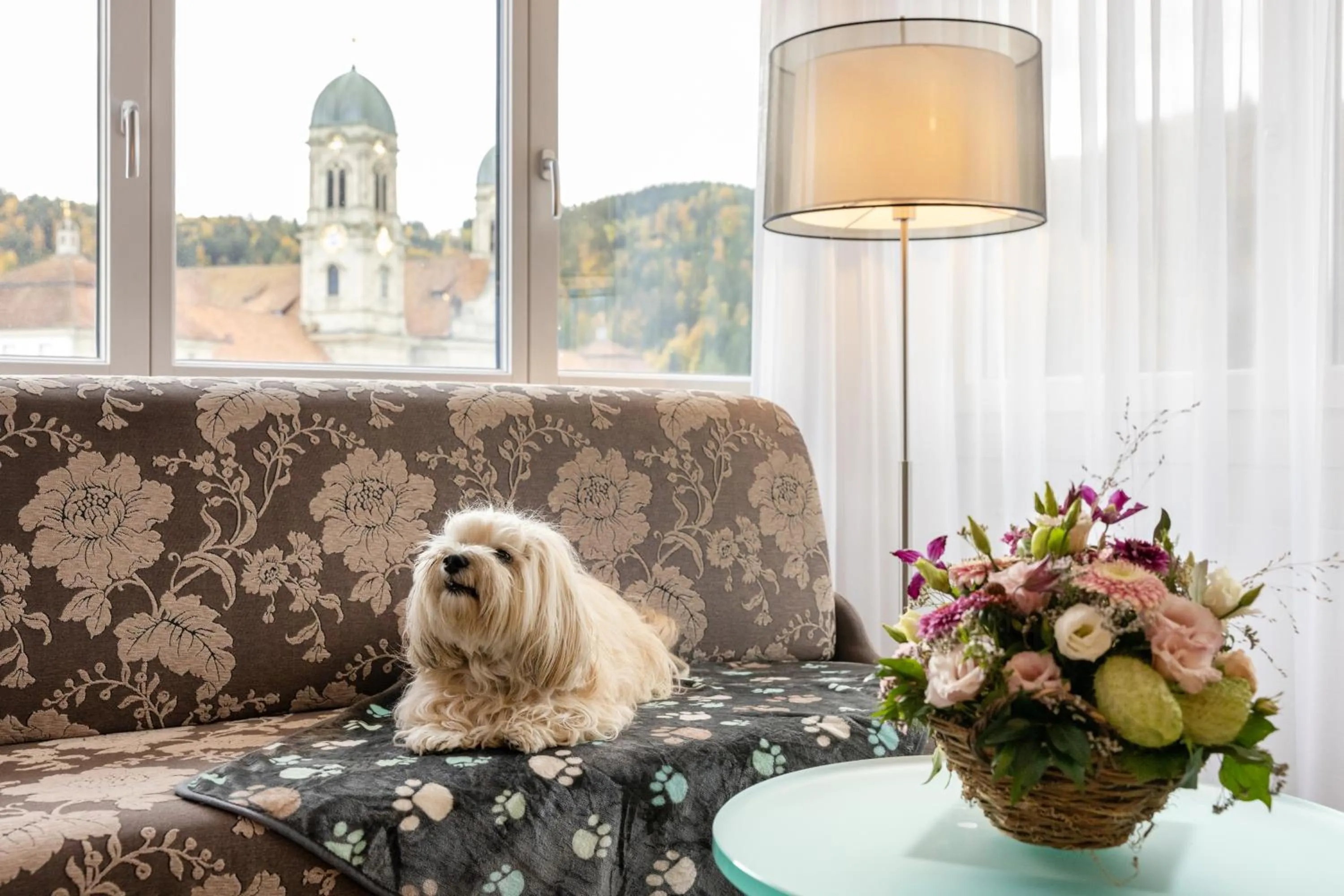 pet friendly in Hotel Drei Könige