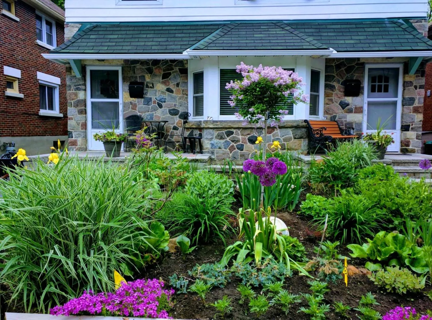 Garden view in Elcho's ExplOre Ottawa #3