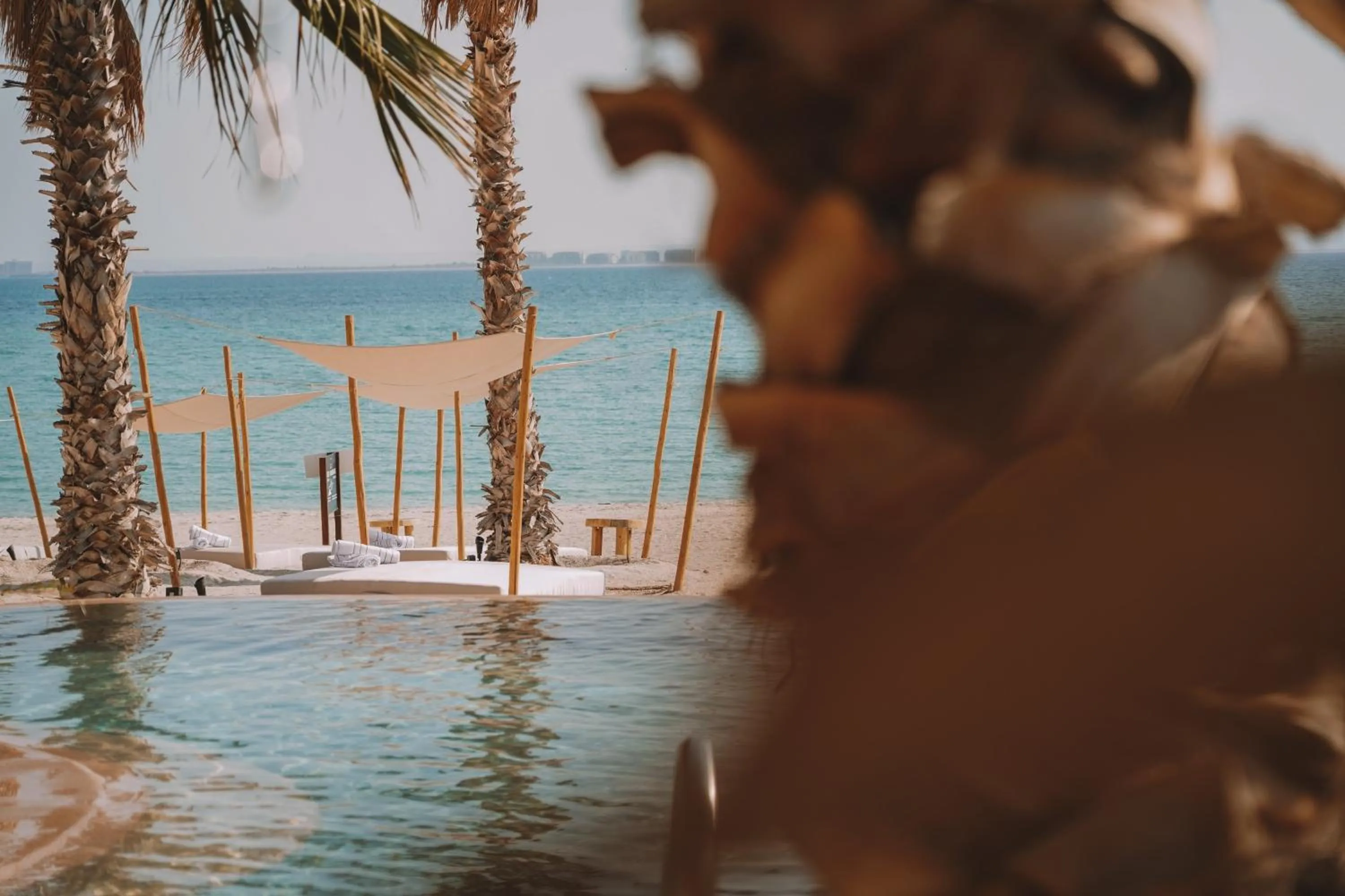 Beach in Hotel Indigo La Paz Puerta Cortes by IHG