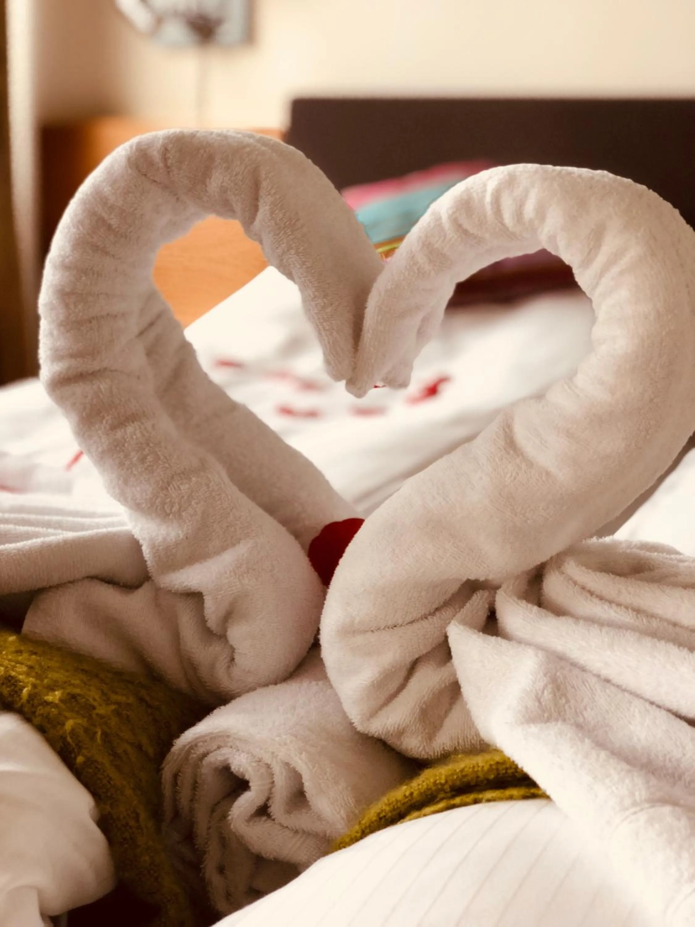 Bed in Havila Hotel Ivar Aasen