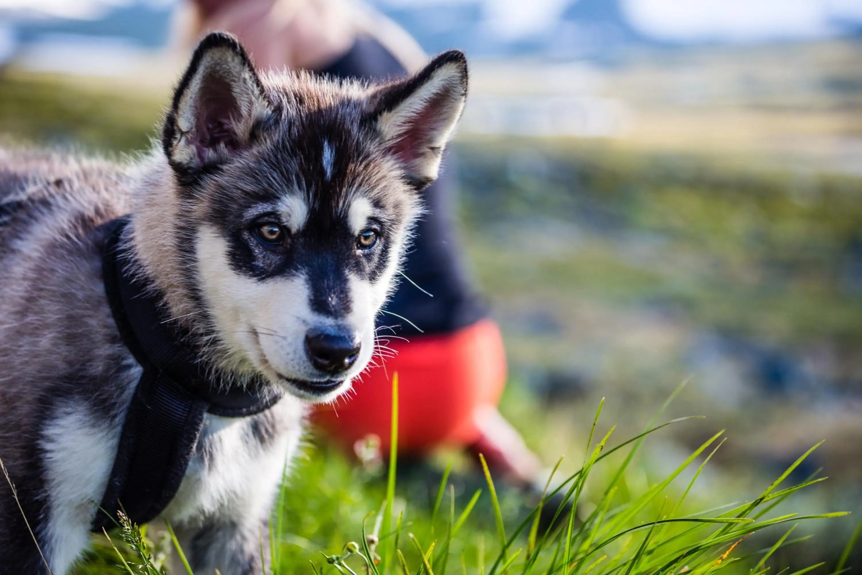 Standard Twin Room in STF Abisko Turiststation