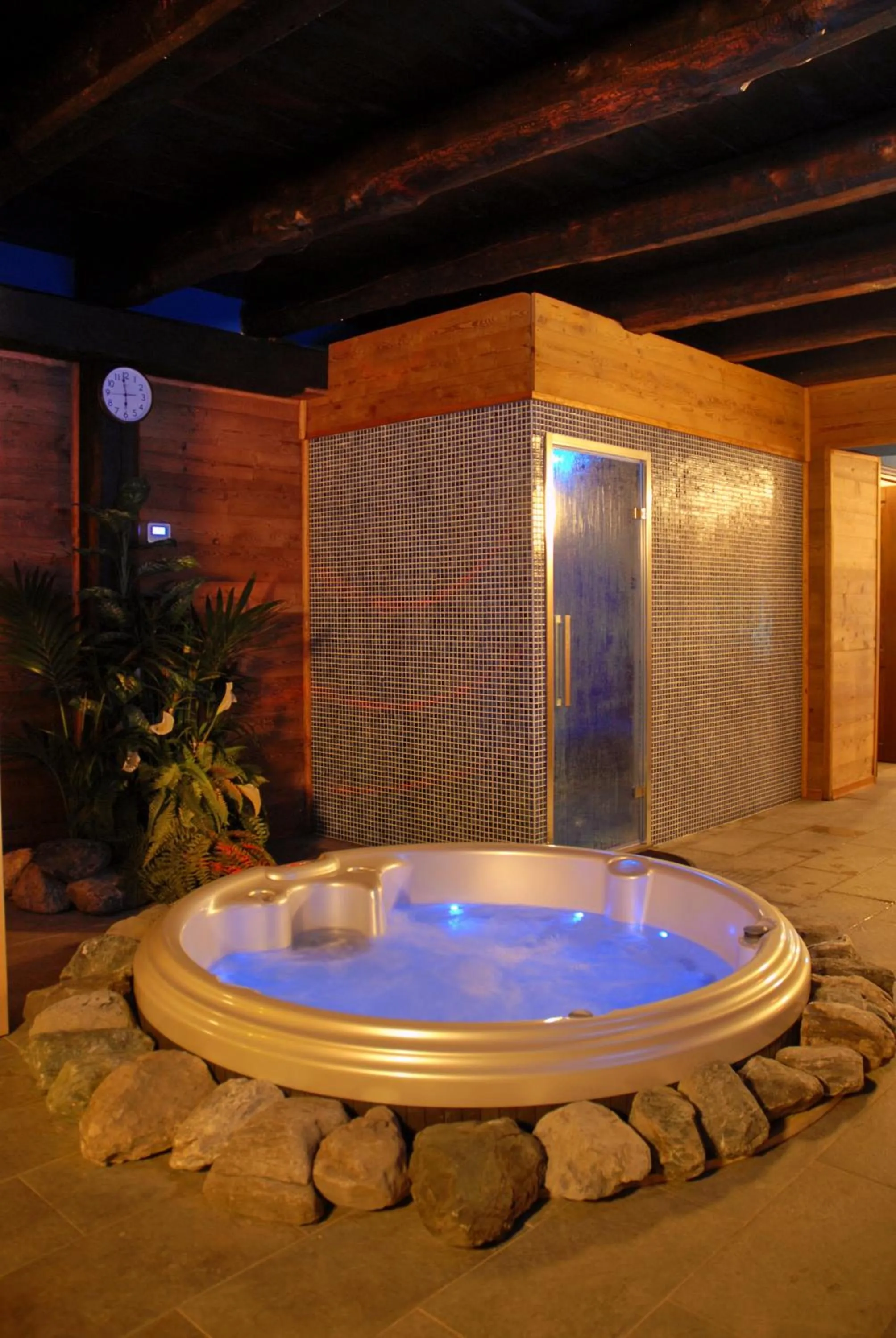 Hot Tub in Hotel Edelweiss & SPA