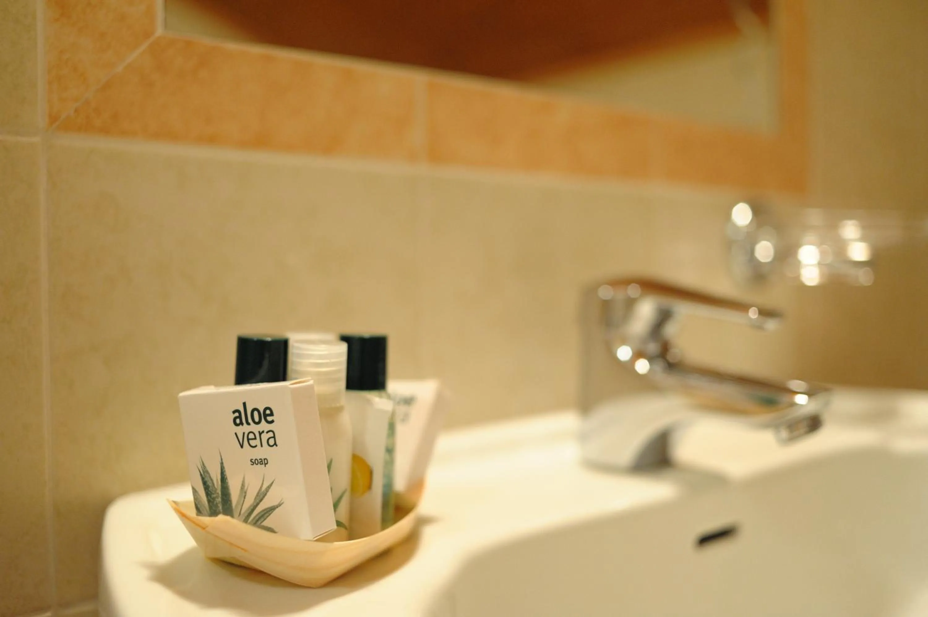 Shower in Hotel Martellerhof